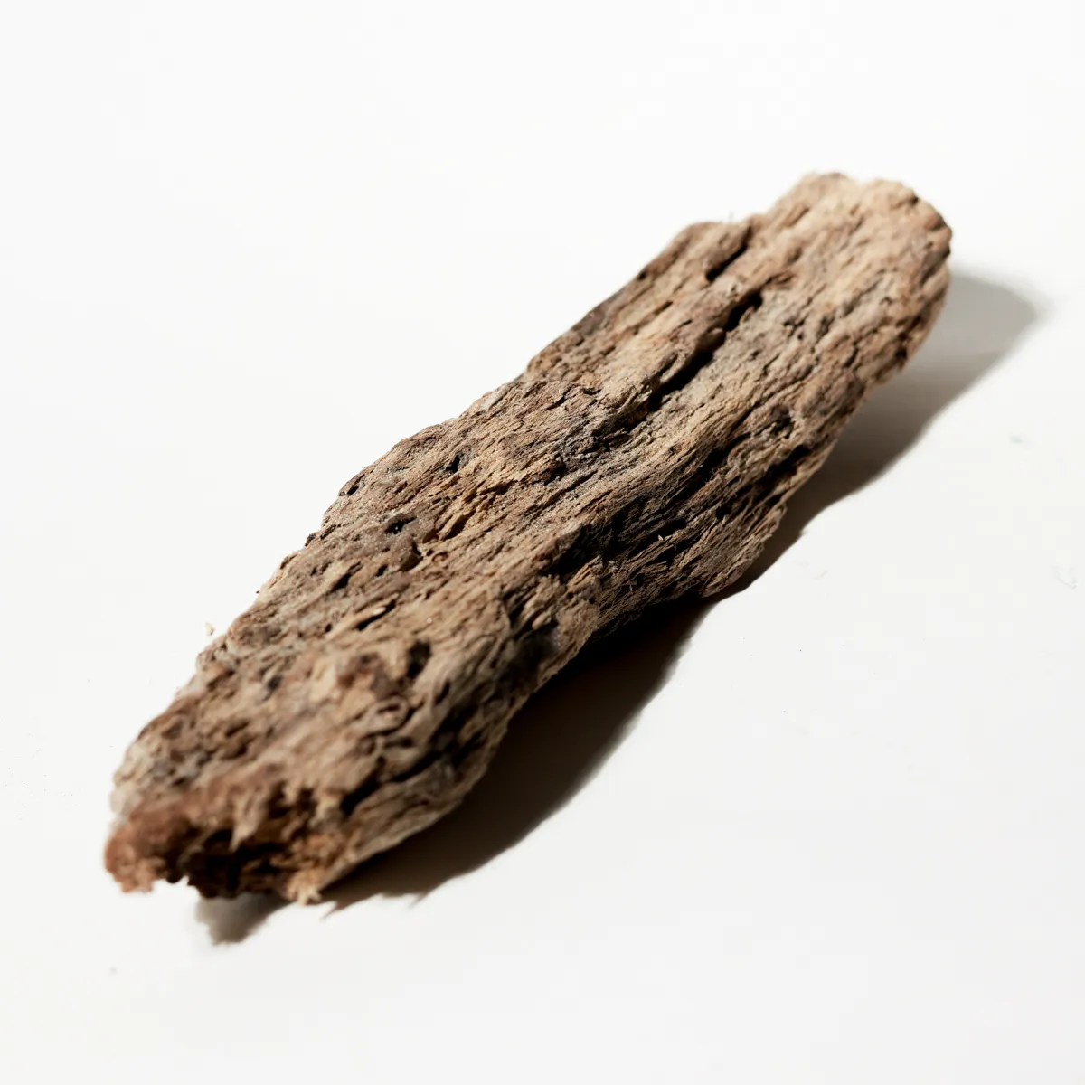 Rustic Weathered Tree Bark Natural Woodland Fragment California Driftwood 18