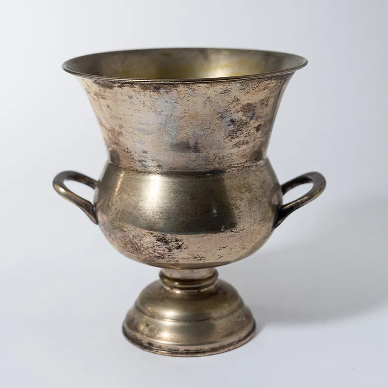 Vintage Silver Plated Ice Bucket - 8" x 7.25"