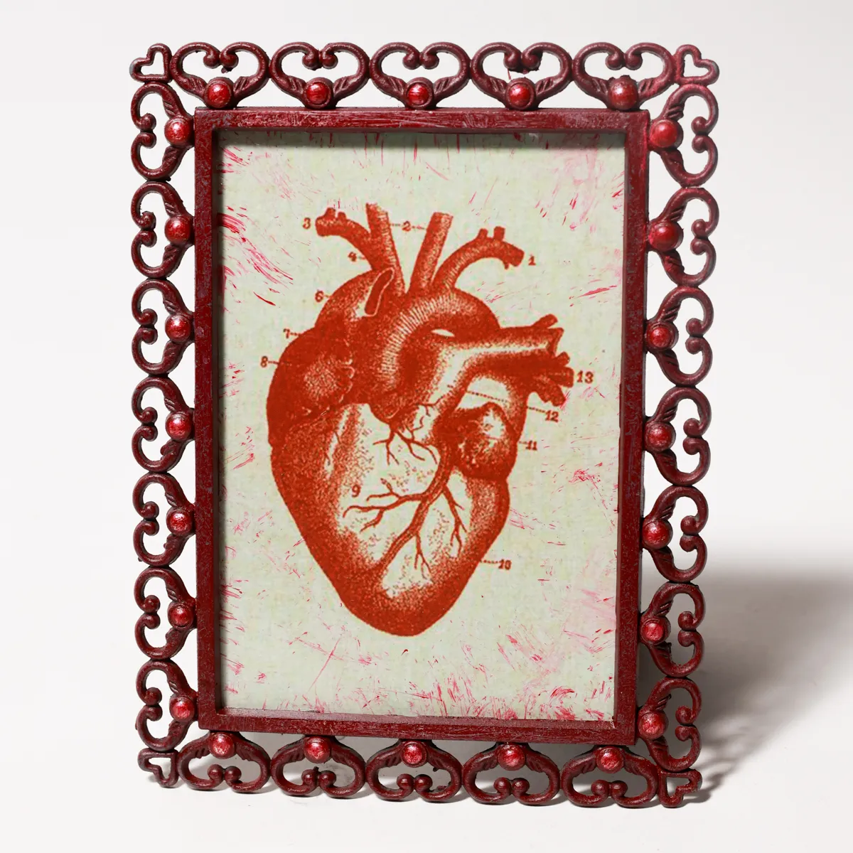 Ornate Retro Anatomical Heart Medical Illustration Frame