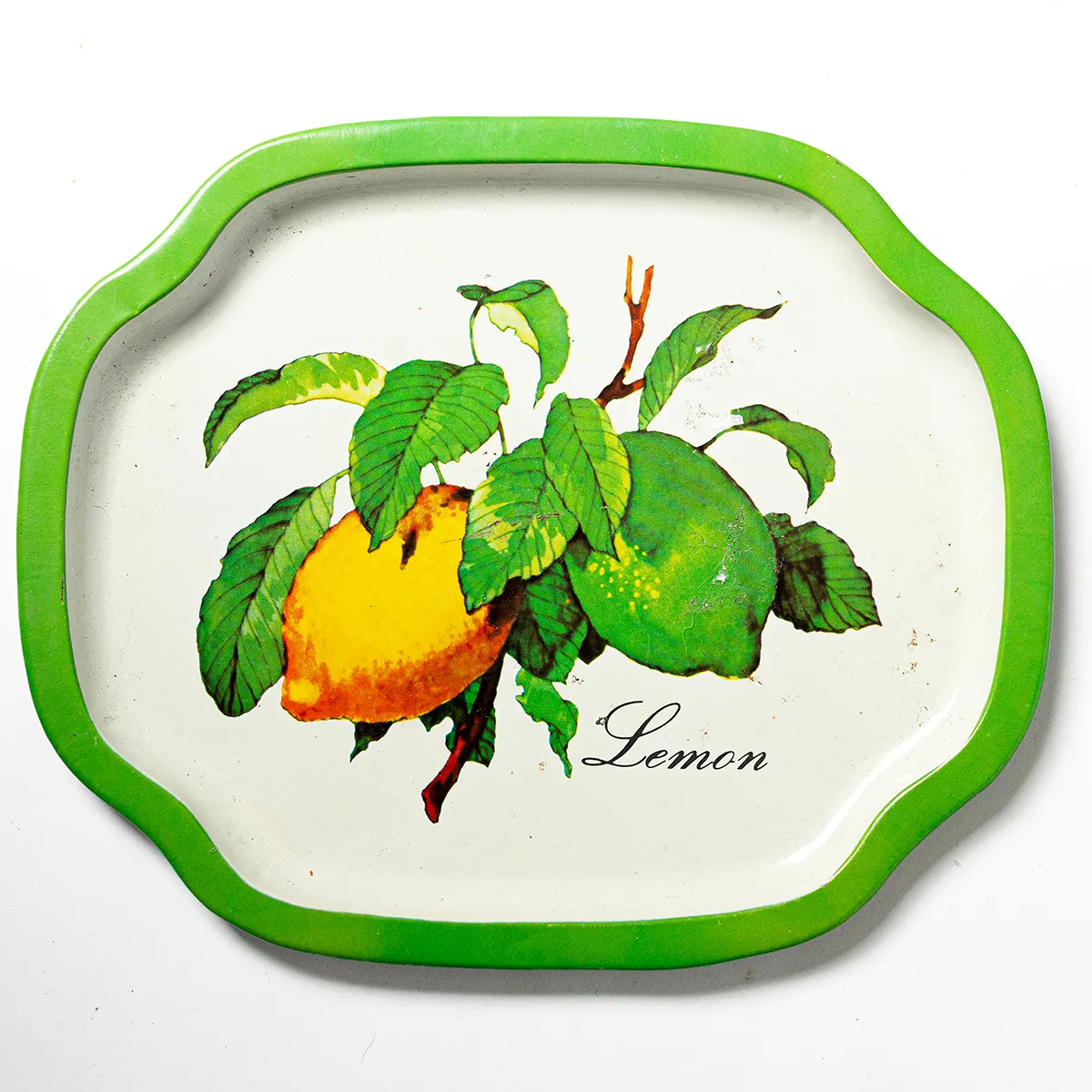 Lemon and Lime Illustrated Enamelware Trinket Dish 
