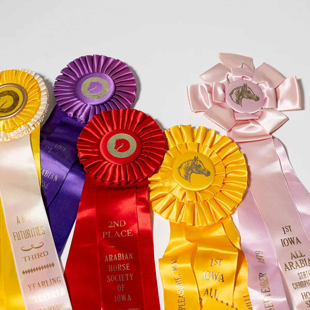 Multi Colored Horse Show Ribbons
