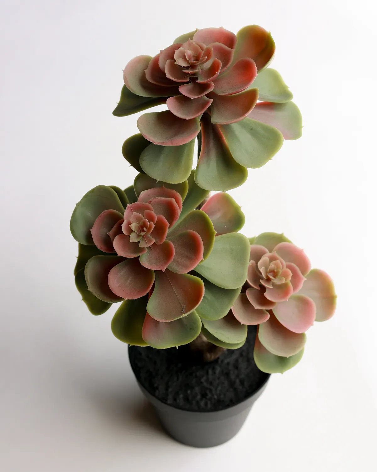 Faux Etiolated Echeveria Succulent Rosette Sculptural Potted Plant Artificial House Plant