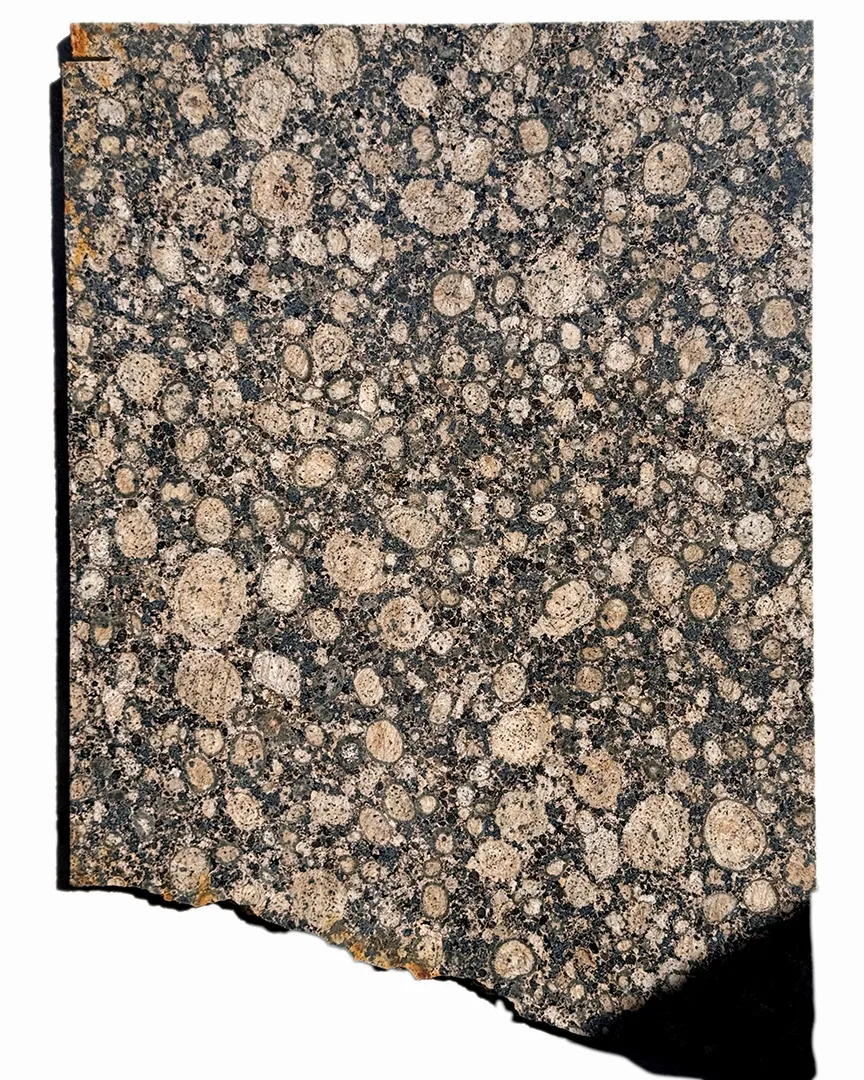Tortoiseshell Granite Slab Surface