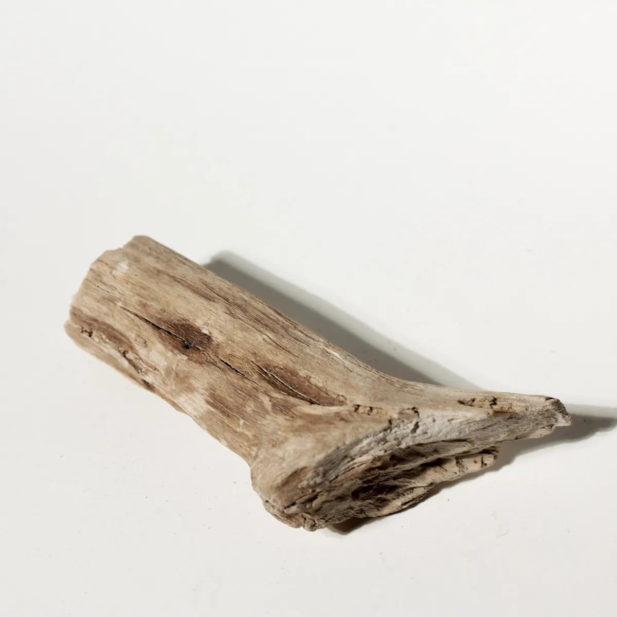Rustic Weathered Tree Bark Natural Woodland Fragment California Driftwood 19