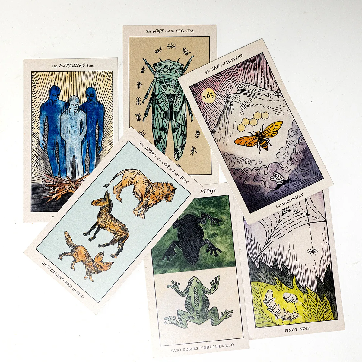 Tarot Cards from Winery