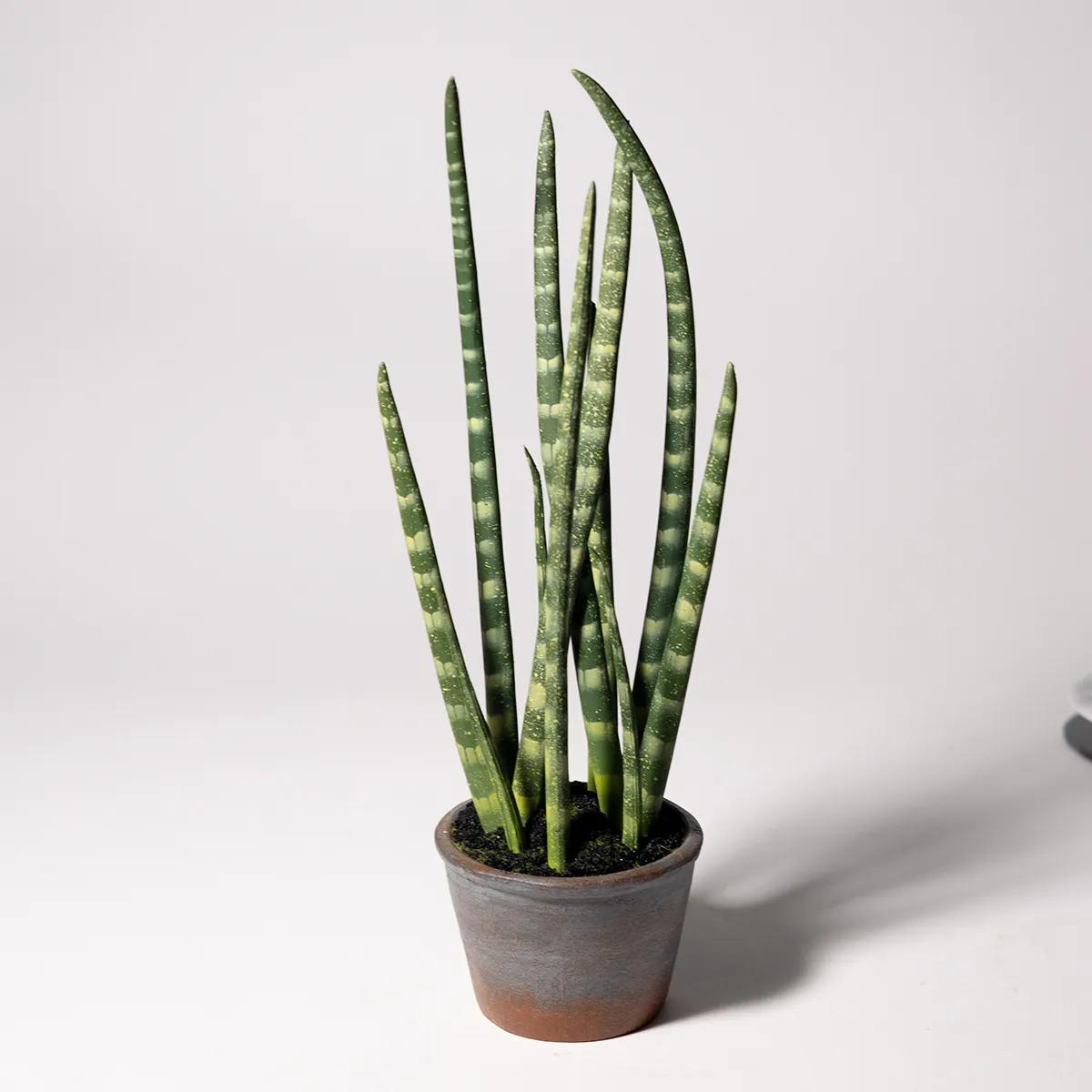 Artificial Green Tiger Tail Plant Dark Green and Light Green Stalk Plant