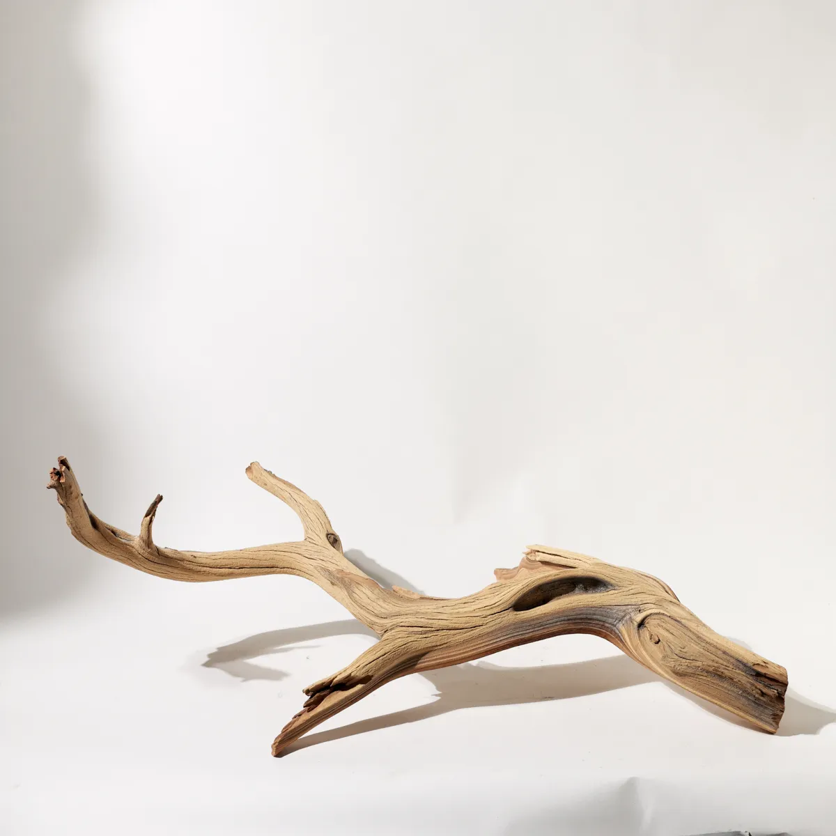 Large Weathered Driftwood Branch Rustic Sculptural Decor