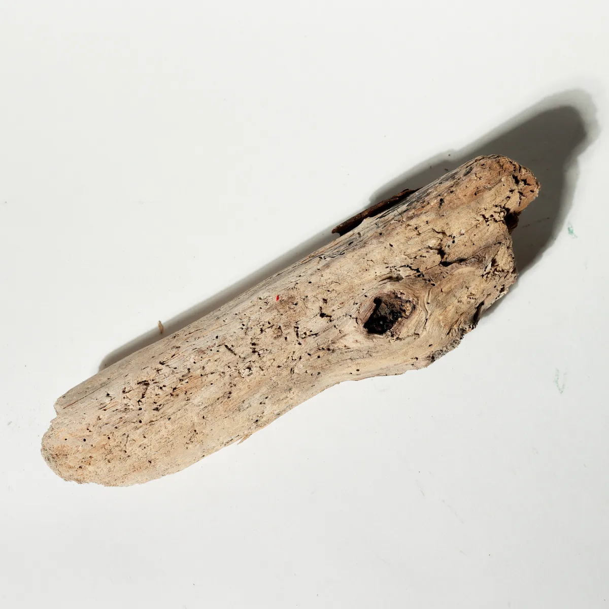 Rustic Weathered Tree Bark Natural Woodland Fragment California Driftwood 17