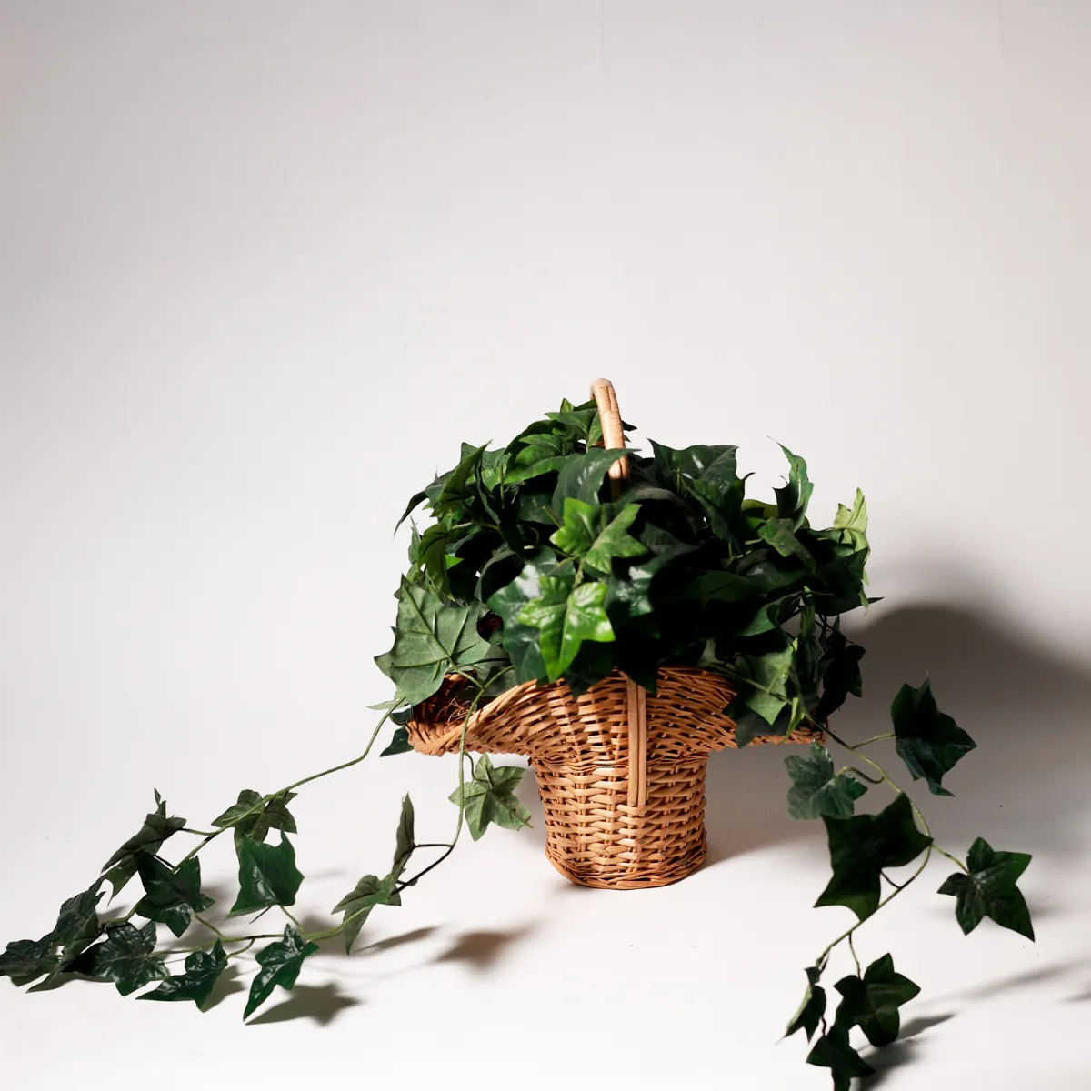 Rustic Wicker Basket Trailing Ivy Greenery Botanical