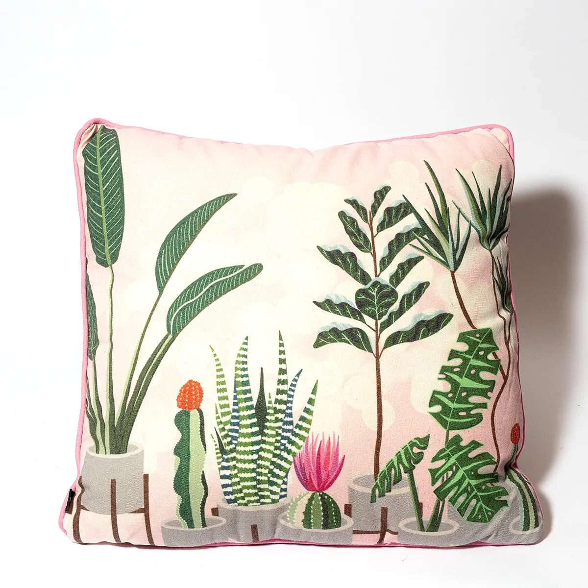 Bright pink with green, blue and beige cactus theme house plants desert theme pair - 16"