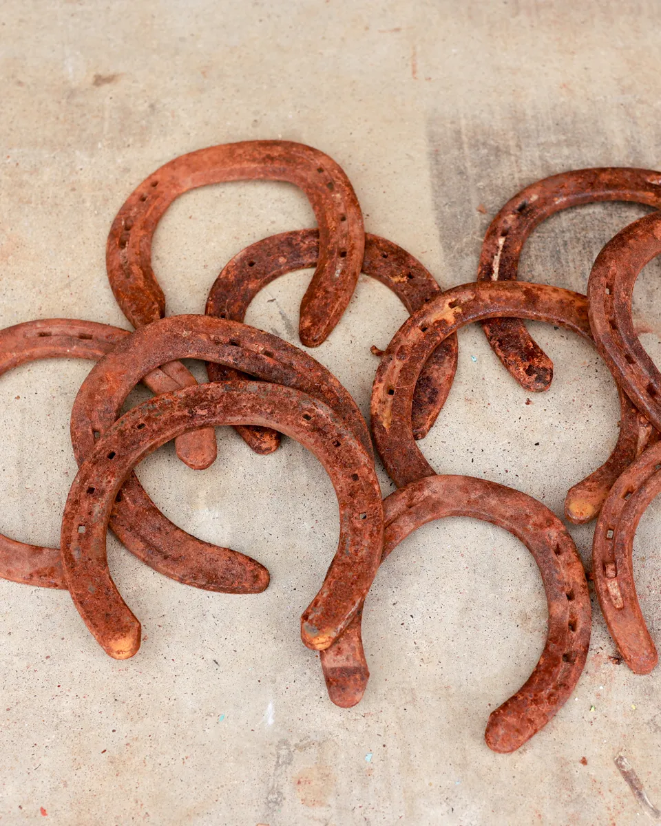 Antique Rusty Horseshoes Metal Weathered Patina Set