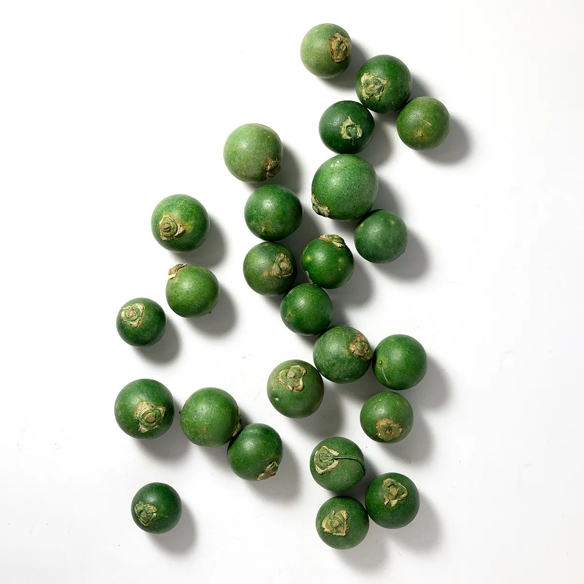 Dried and Decorative Bright Green balls