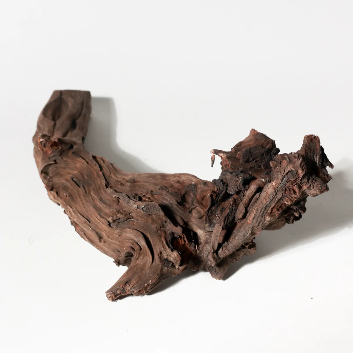 Rustic Weathered Tree Bark Natural Woodland Fragment California Driftwood 23