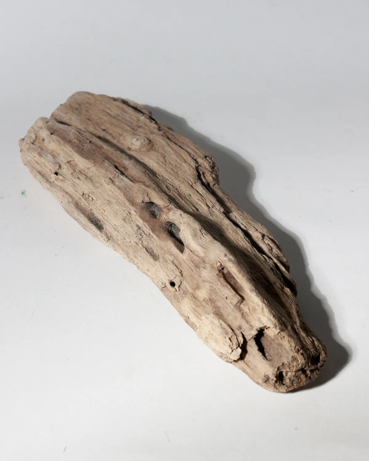 Rustic Weathered Tree Bark Natural Woodland Fragment California Driftwood 5