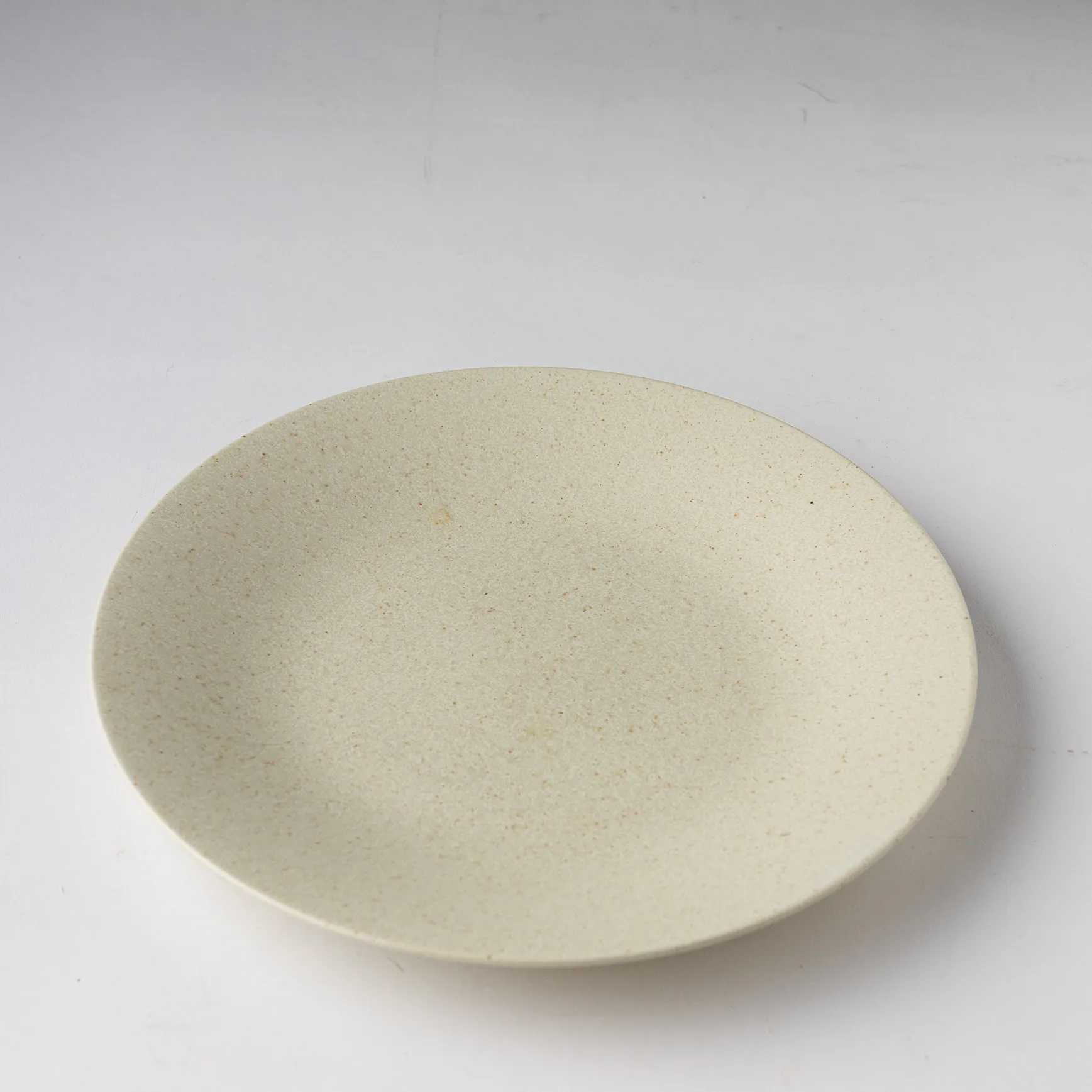 Beige Stoneware Dinner Plate