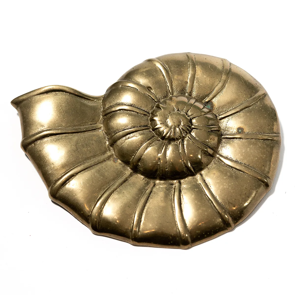 Brass Shell Sculpture Wall Hanging I - 7" x 4.5"