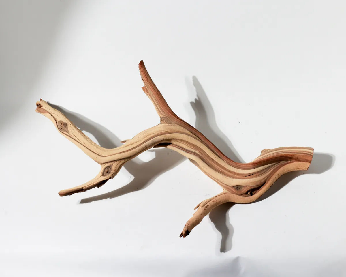Twisted Driftwood Branch Sculptural Rustic Natural Centerpiece