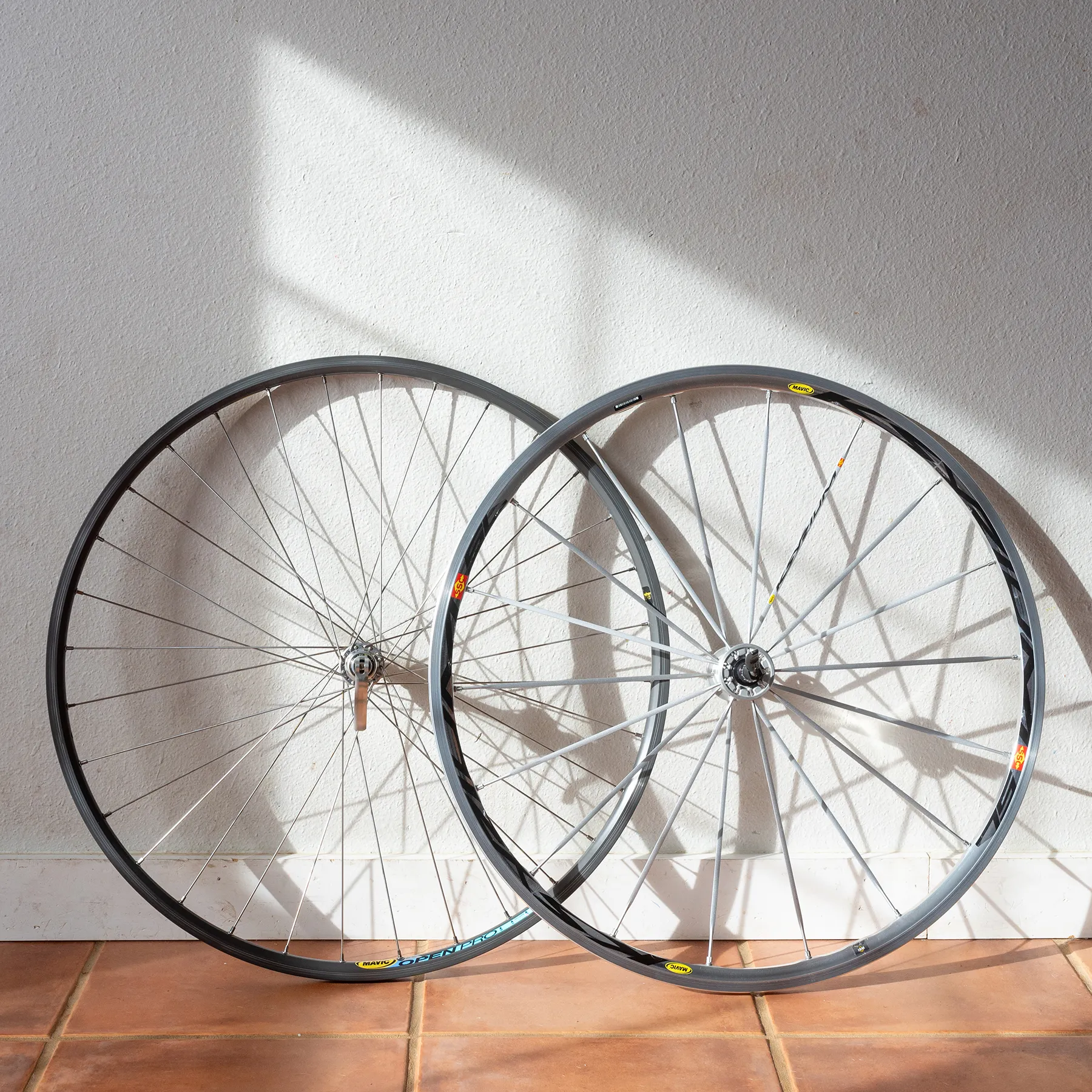 Speed Bicycle Wheel with Spokes