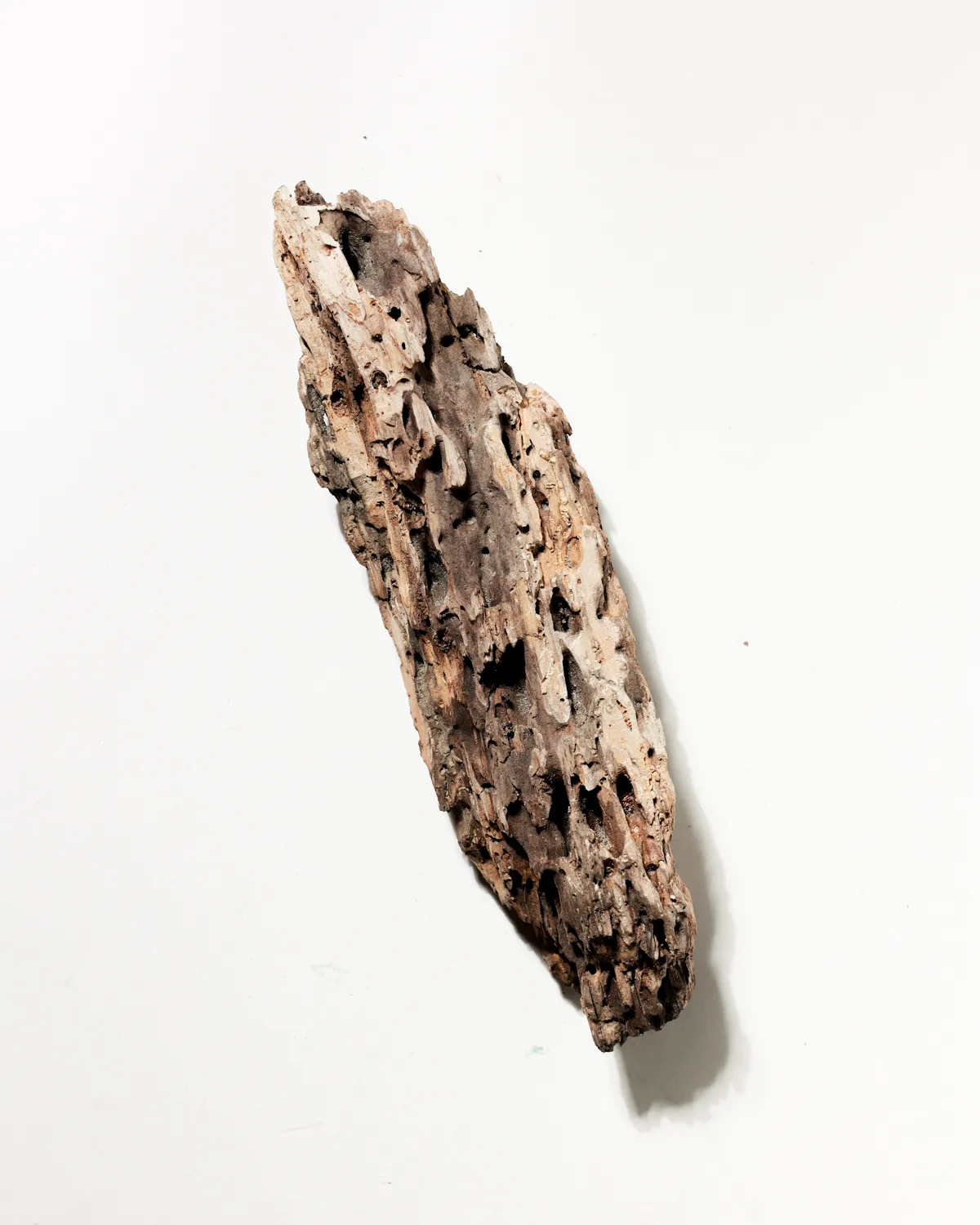 Rustic Weathered Tree Bark Natural Woodland Fragment California Driftwood 14