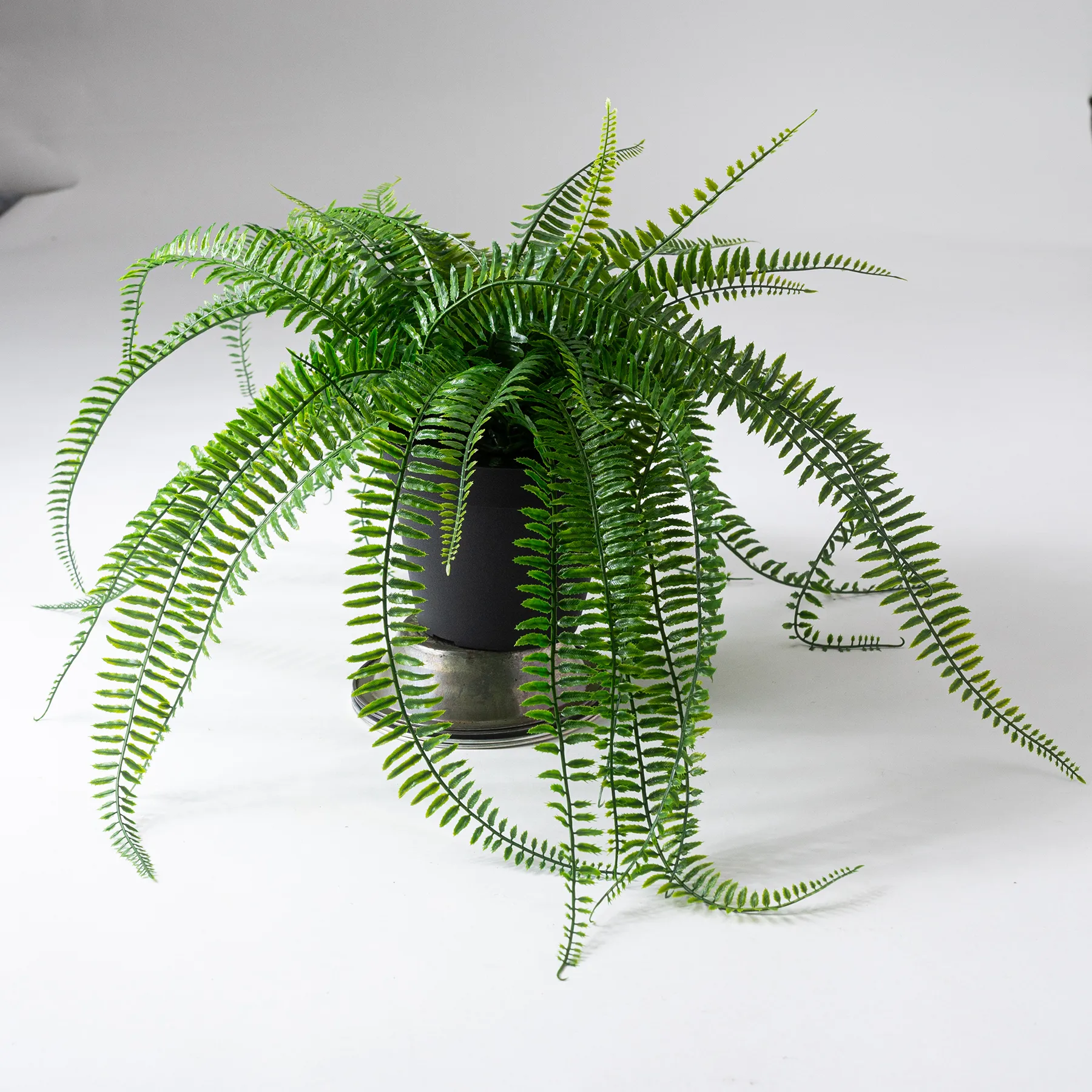 Artificial Fern House Plant in Black Pot - 9" x 19"