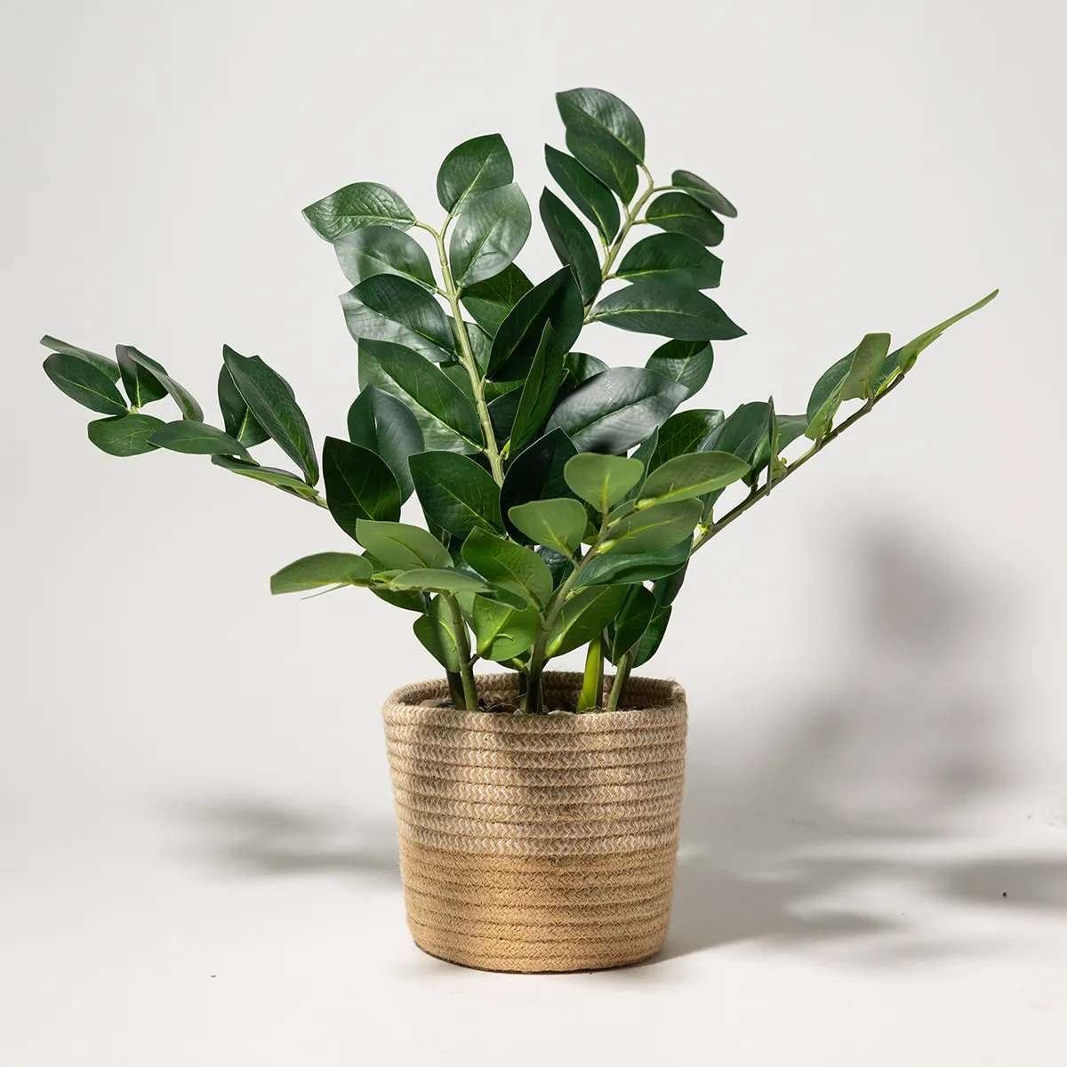 Faux ZZ Plant House Plant