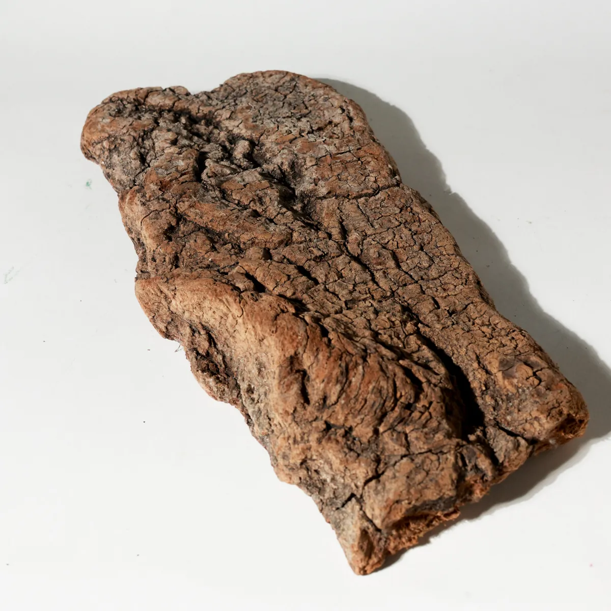 Rustic Weathered Tree Bark Natural Woodland Fragment Califonia Driftwood