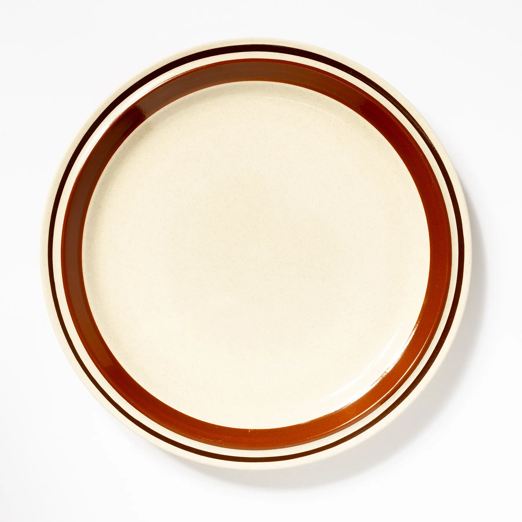 Chateau Hand Painted Stoneware Dark Dinner Plate - 10.75"