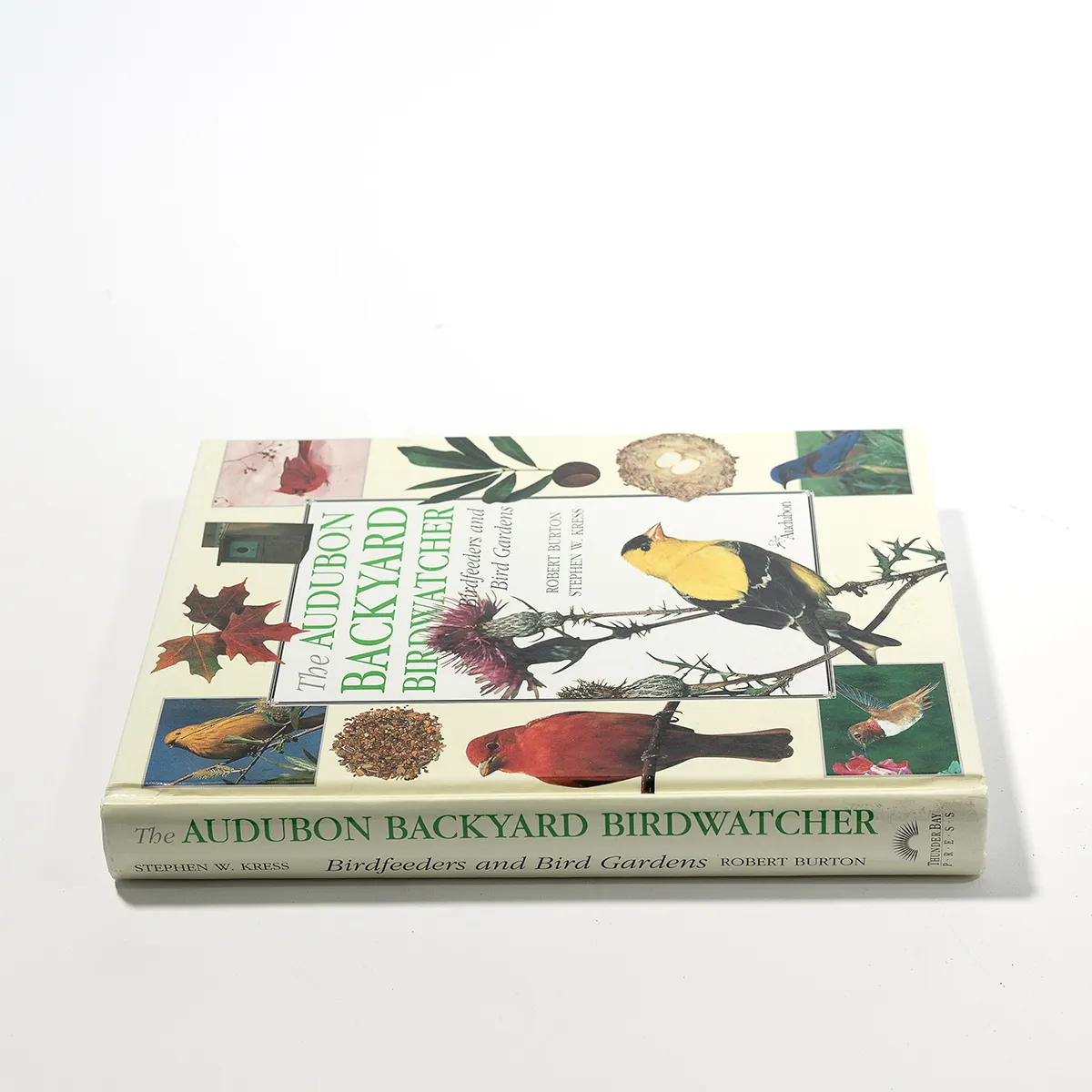 Book: Audubon Backyard Bird Watcher - 9.5" x 7.75"