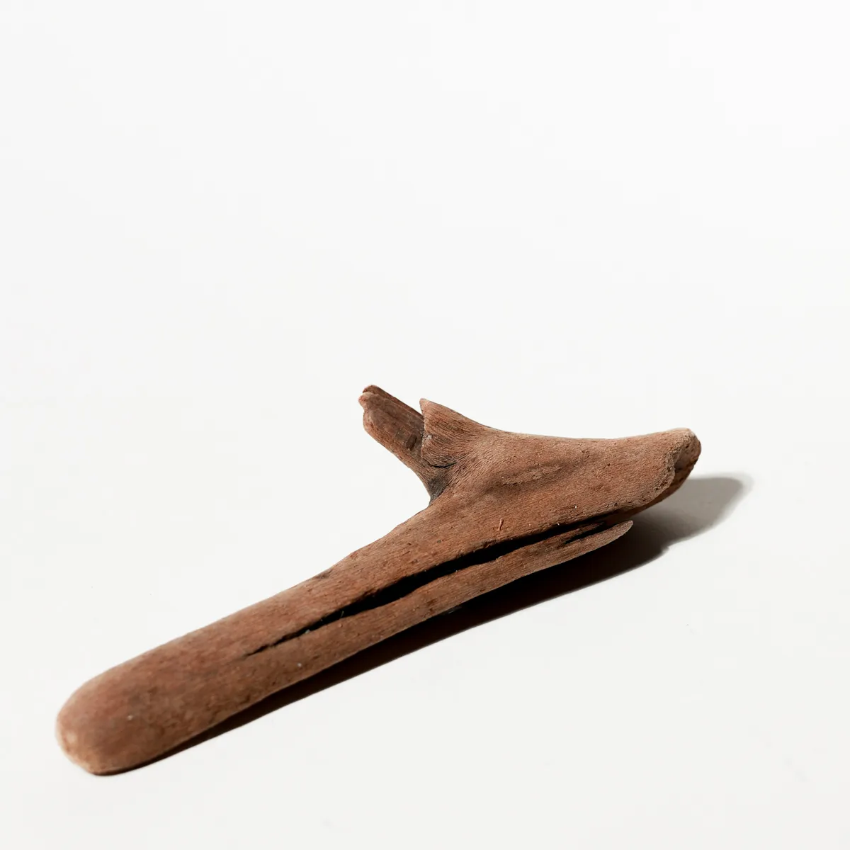 Rustic Weathered Tree Bark Natural Woodland Fragment California Driftwood 13