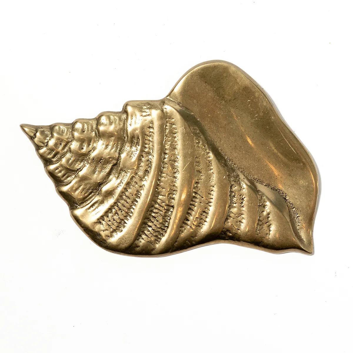 Brass Shell Sculpture Wall Hanging Ill - 7" x 4.5"
