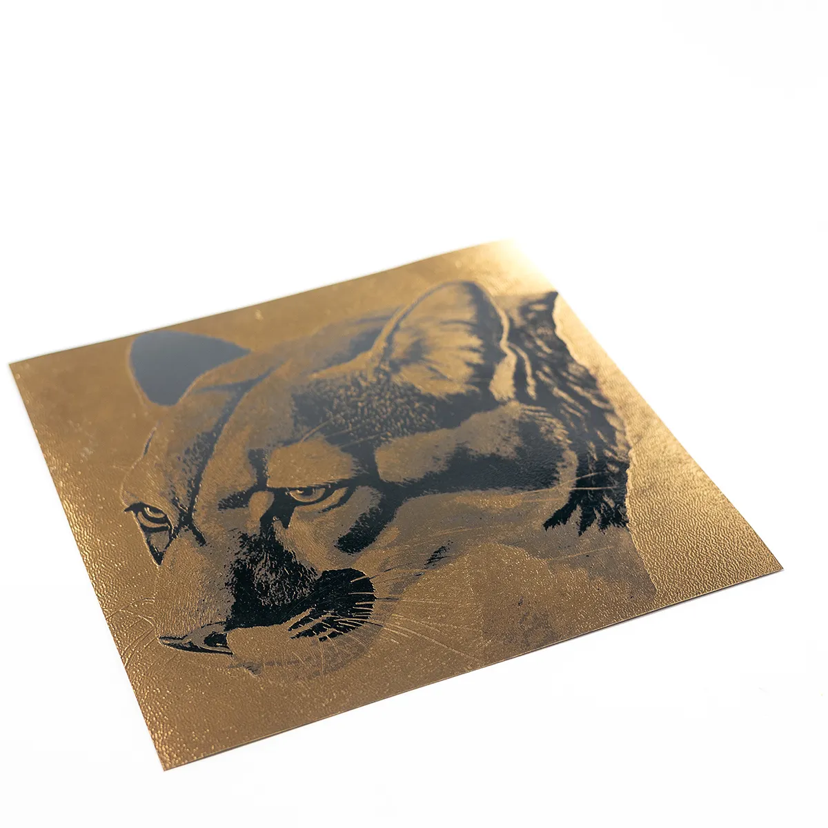 Brass Leopard Etching - 7.25"x 7.25"