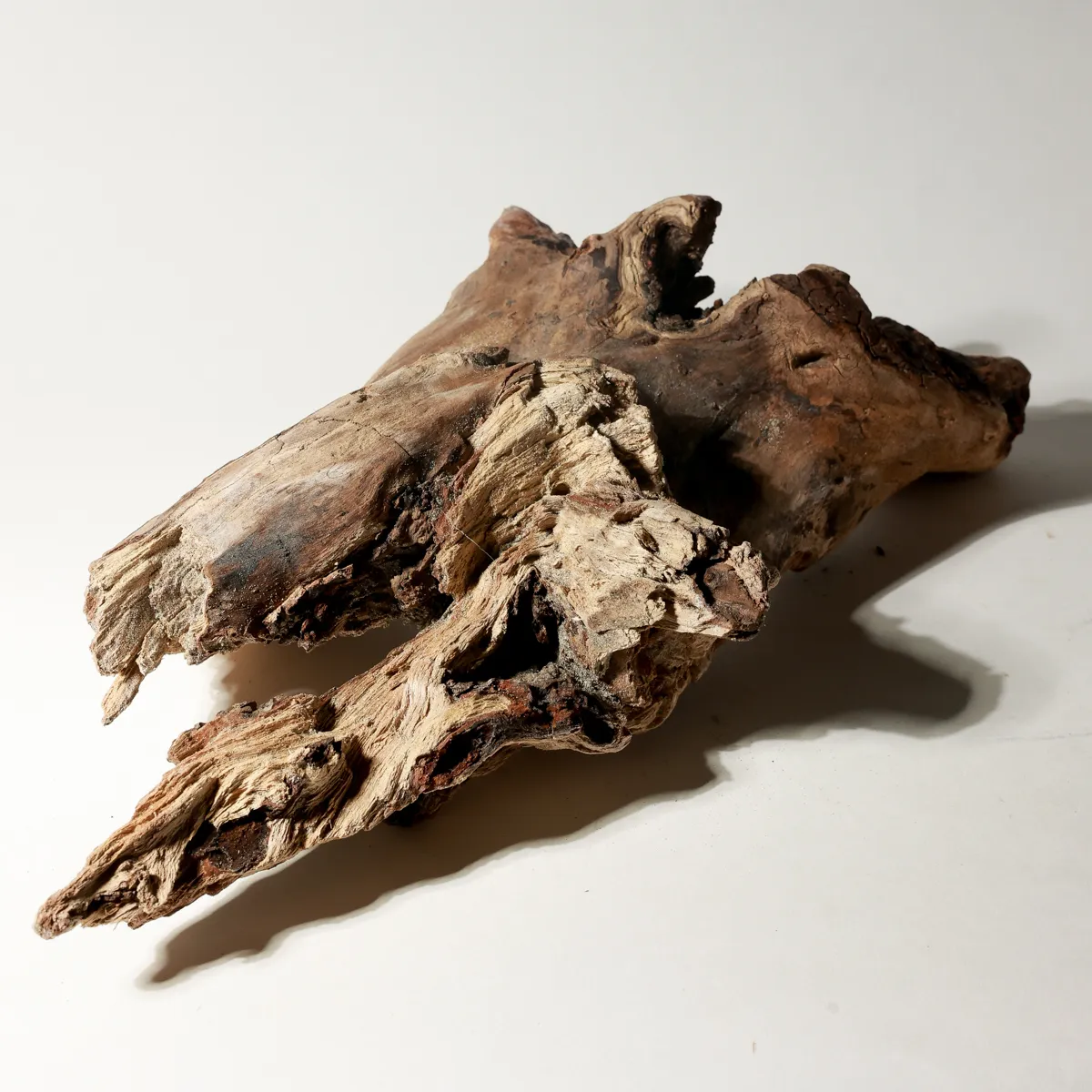 Rustic Weathered Tree Bark Natural Woodland Fragment California Driftwood 6