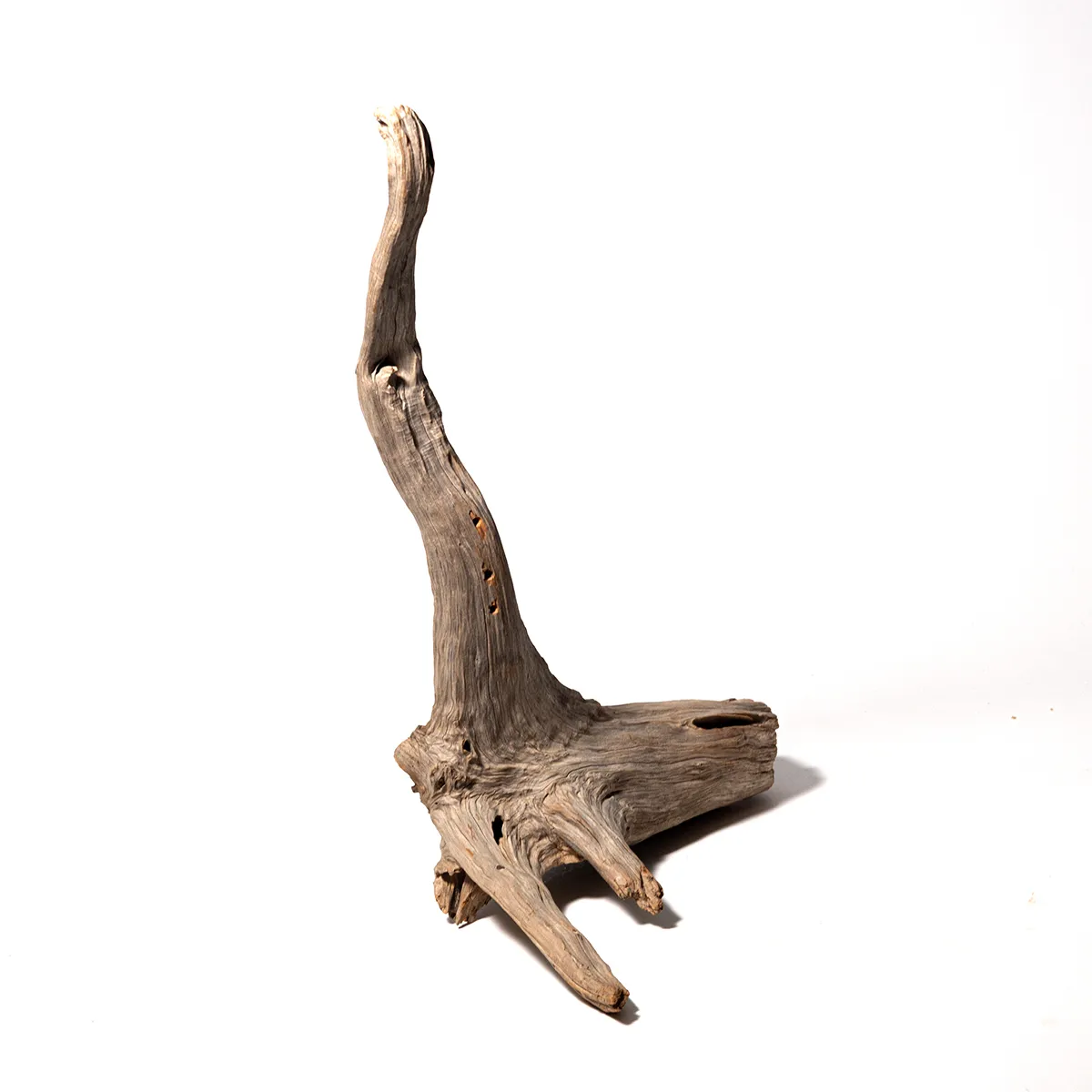 Beach wood riser tall