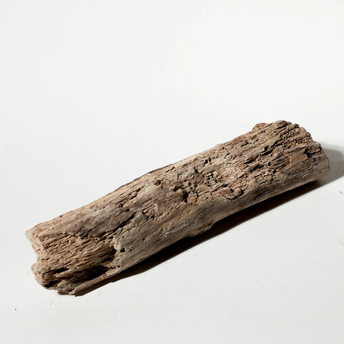 Rustic Weathered Tree Bark Natural Woodland Fragment California Driftwood 15