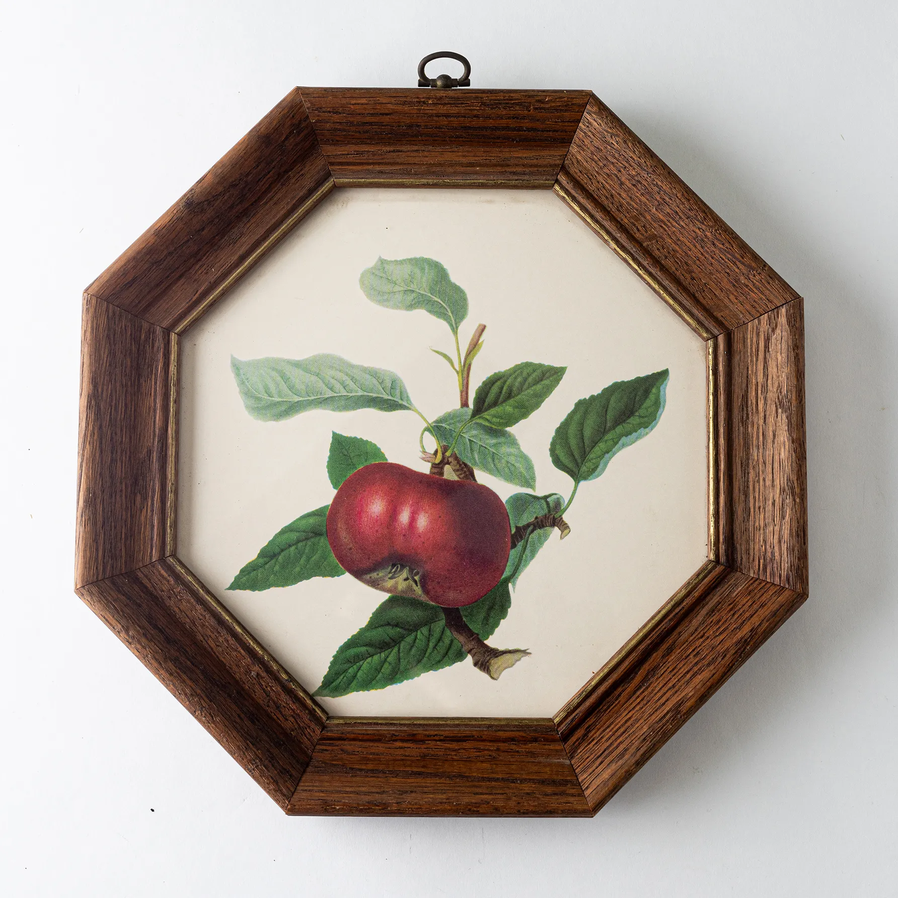 Vintage Octagon Framed Apple Branch - 10 x 1.5