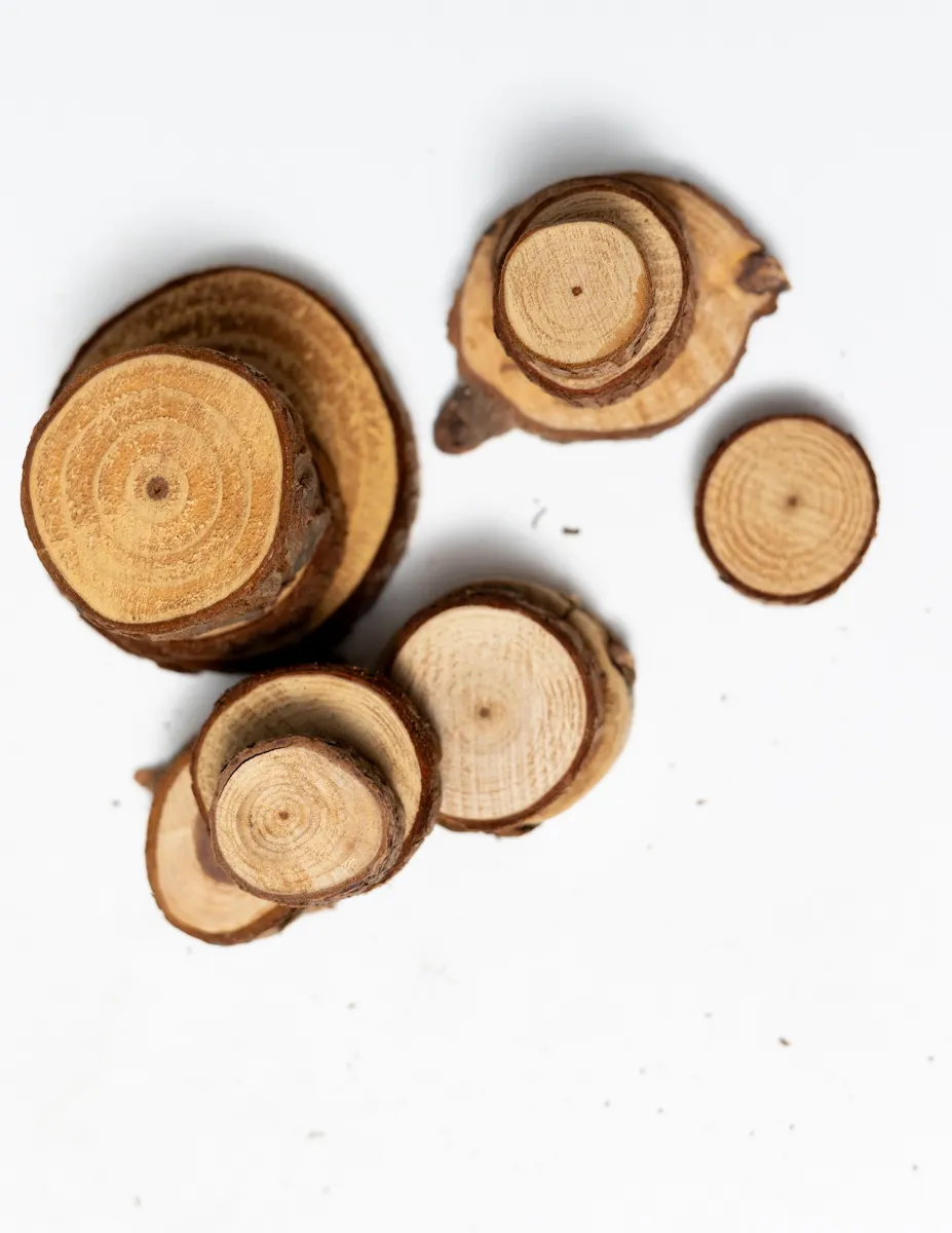 Wood Cross Sections Wood Natural Wood risers Holidays, Thanksgiving, Christmas