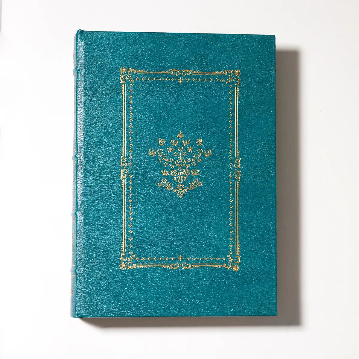 Book: Medical Book Surgical TUMORS of the spinal cord. Aqua Blue Quarter leather with hubbed spine and gilt gold lettering/decoration. Gilded page edges. Silk page marker ribbon