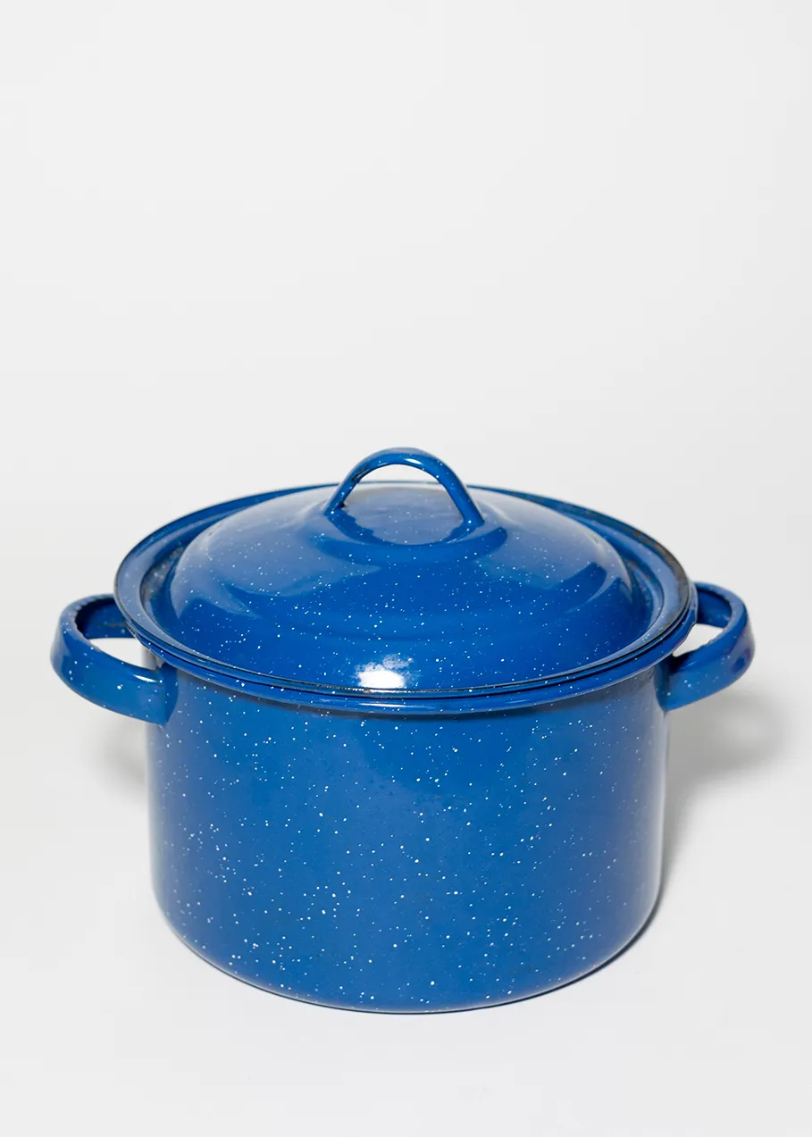 Blue Speckled Enamelware Stock pot