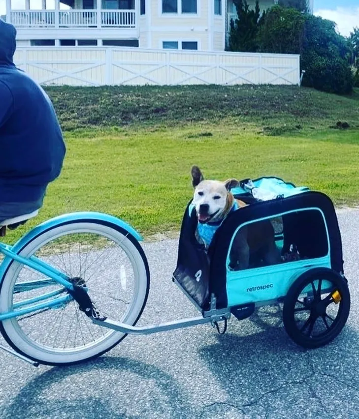 Bike with Pet Trailer Combo - $100/Week