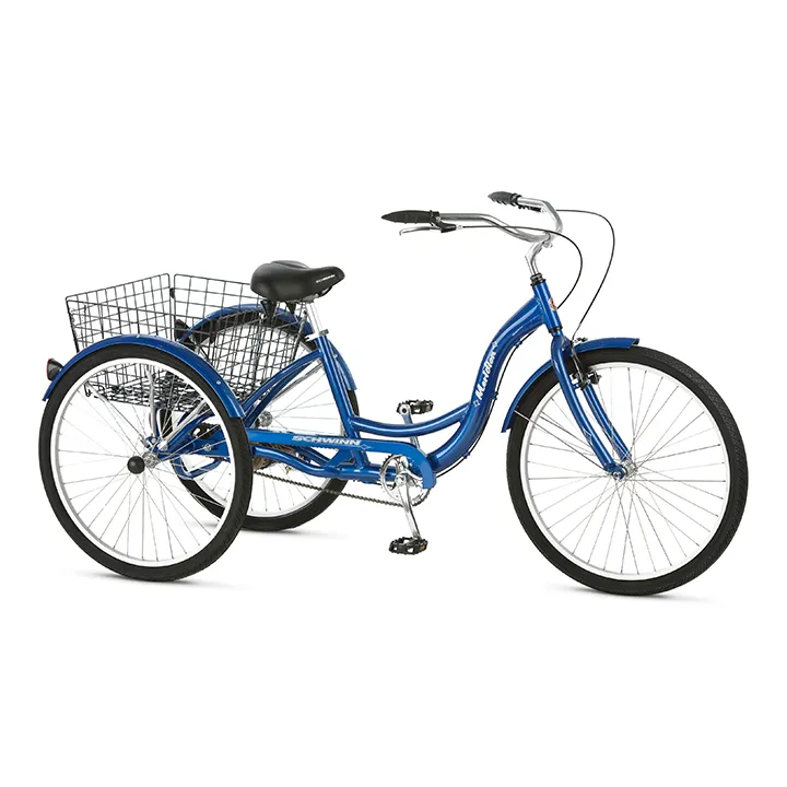 Adult Trike - $100/week