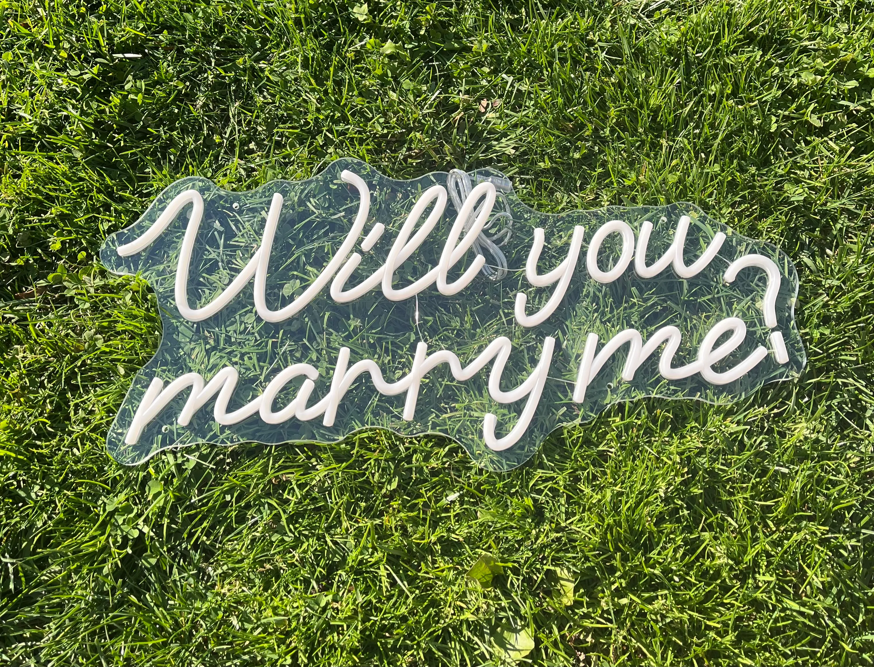 Will You Marry Me LED Sign