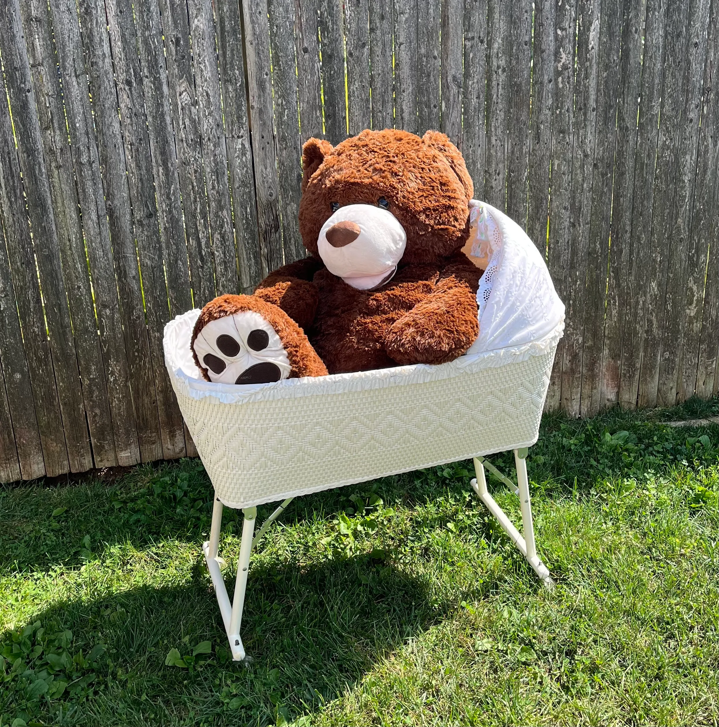Bassinet & Bear