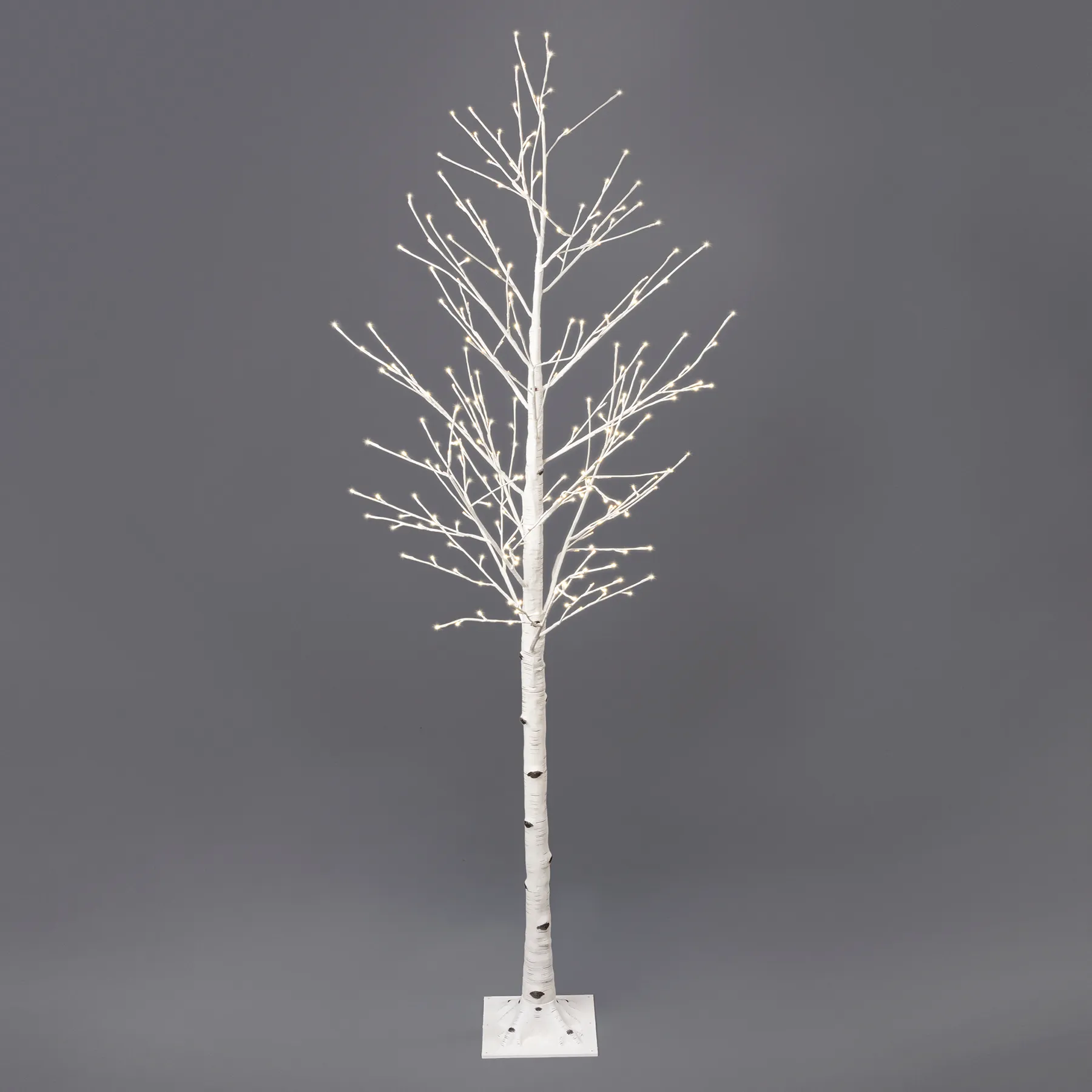 Birch Trees with Lights