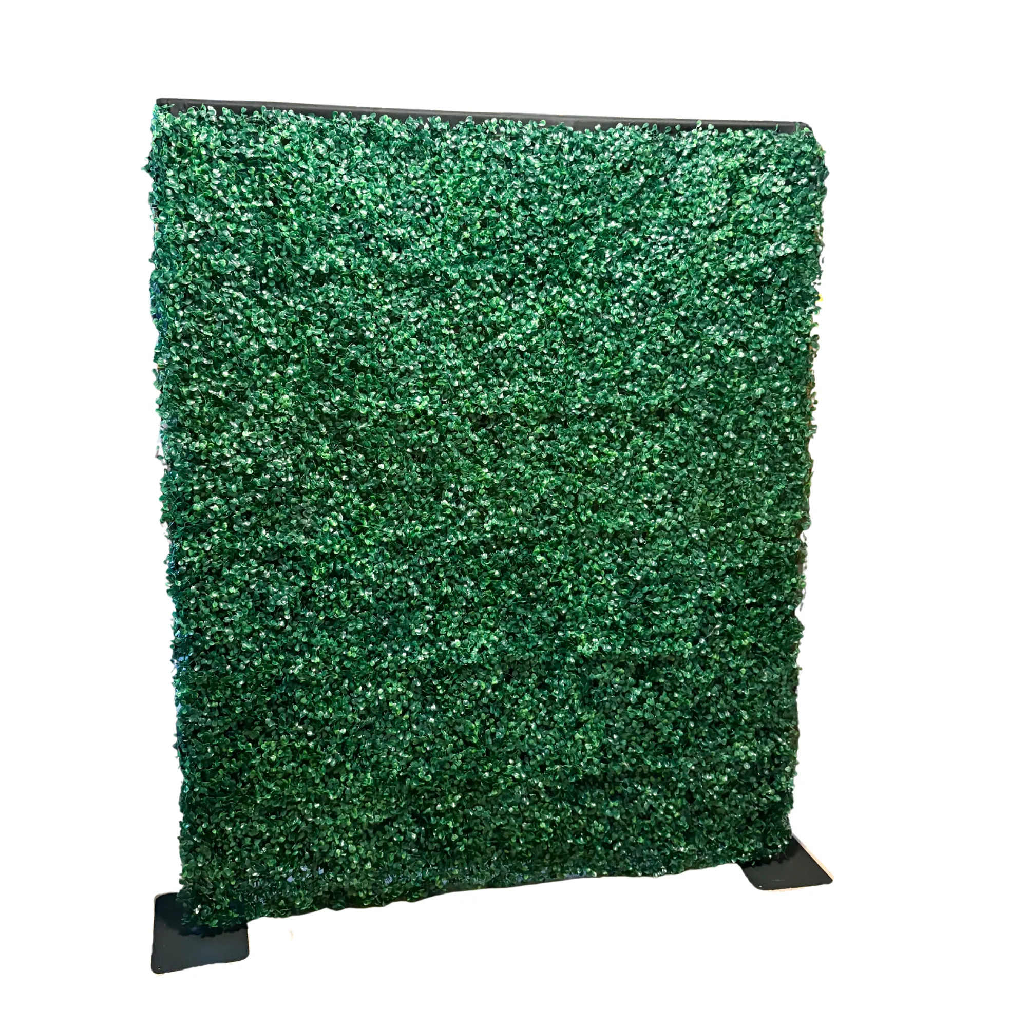 Boxwood Grass Wall