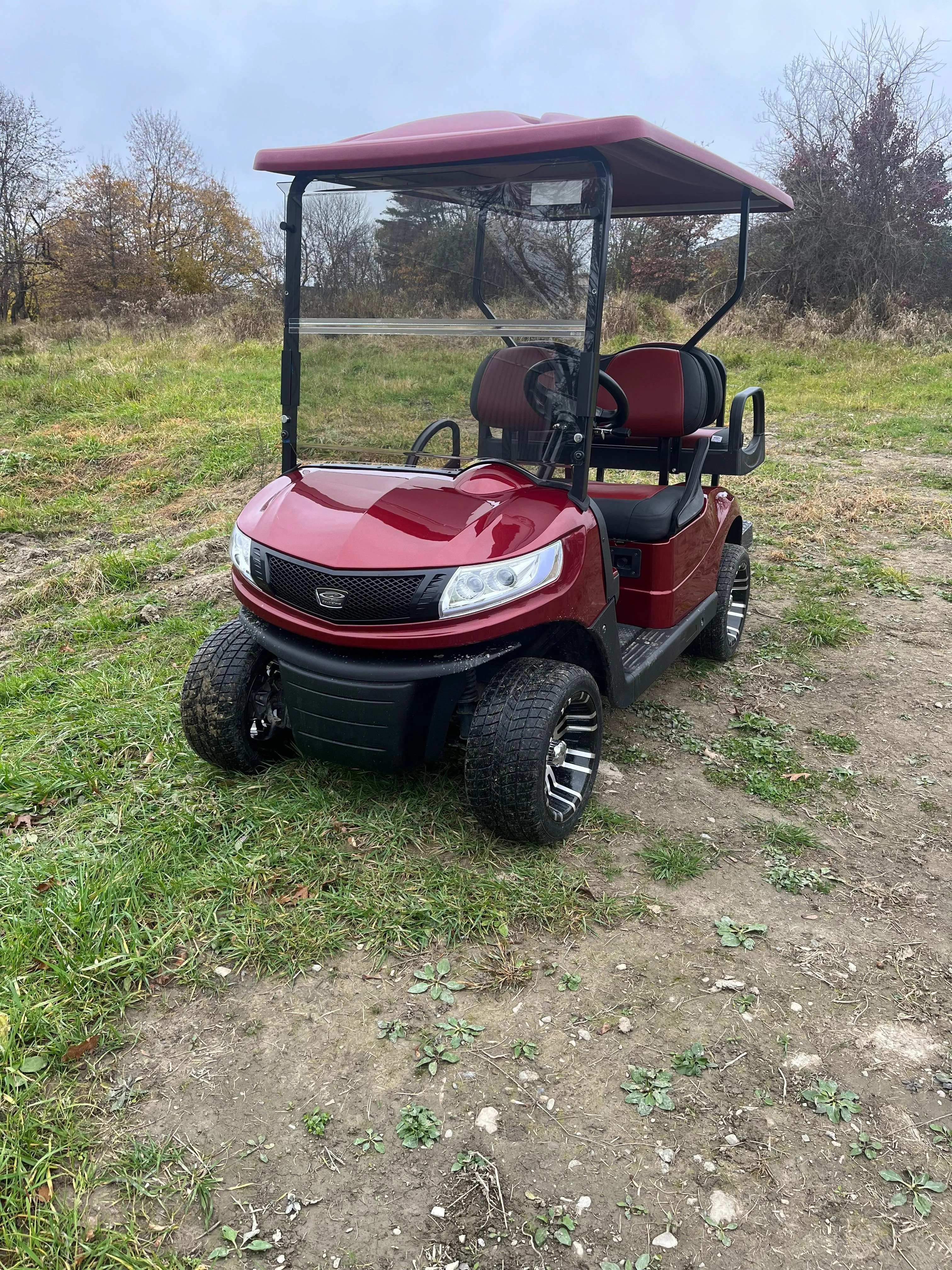 2015 EZGO RXV 4 Passenger custom