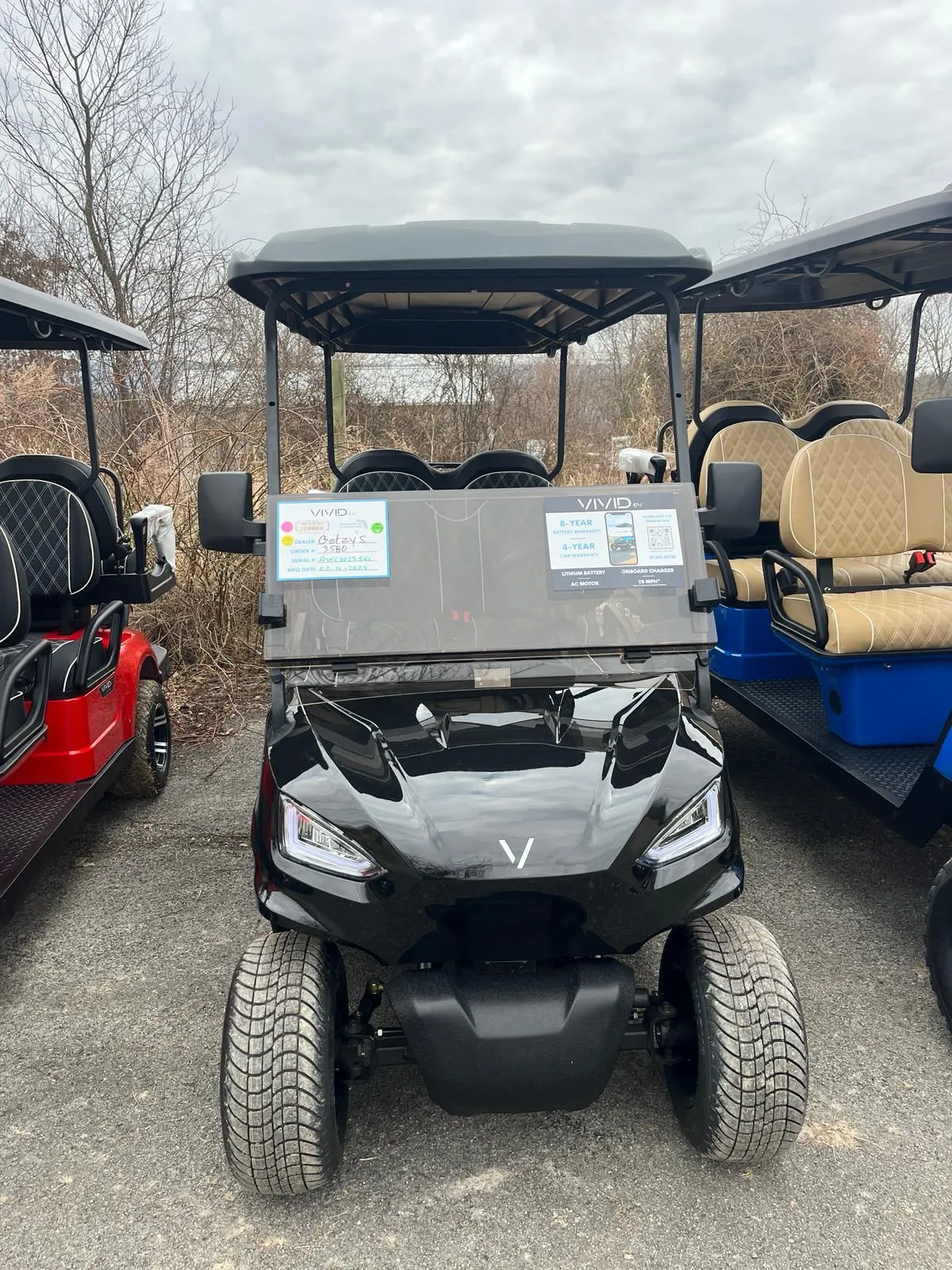 2024 VIVID EV V6 BLACK 