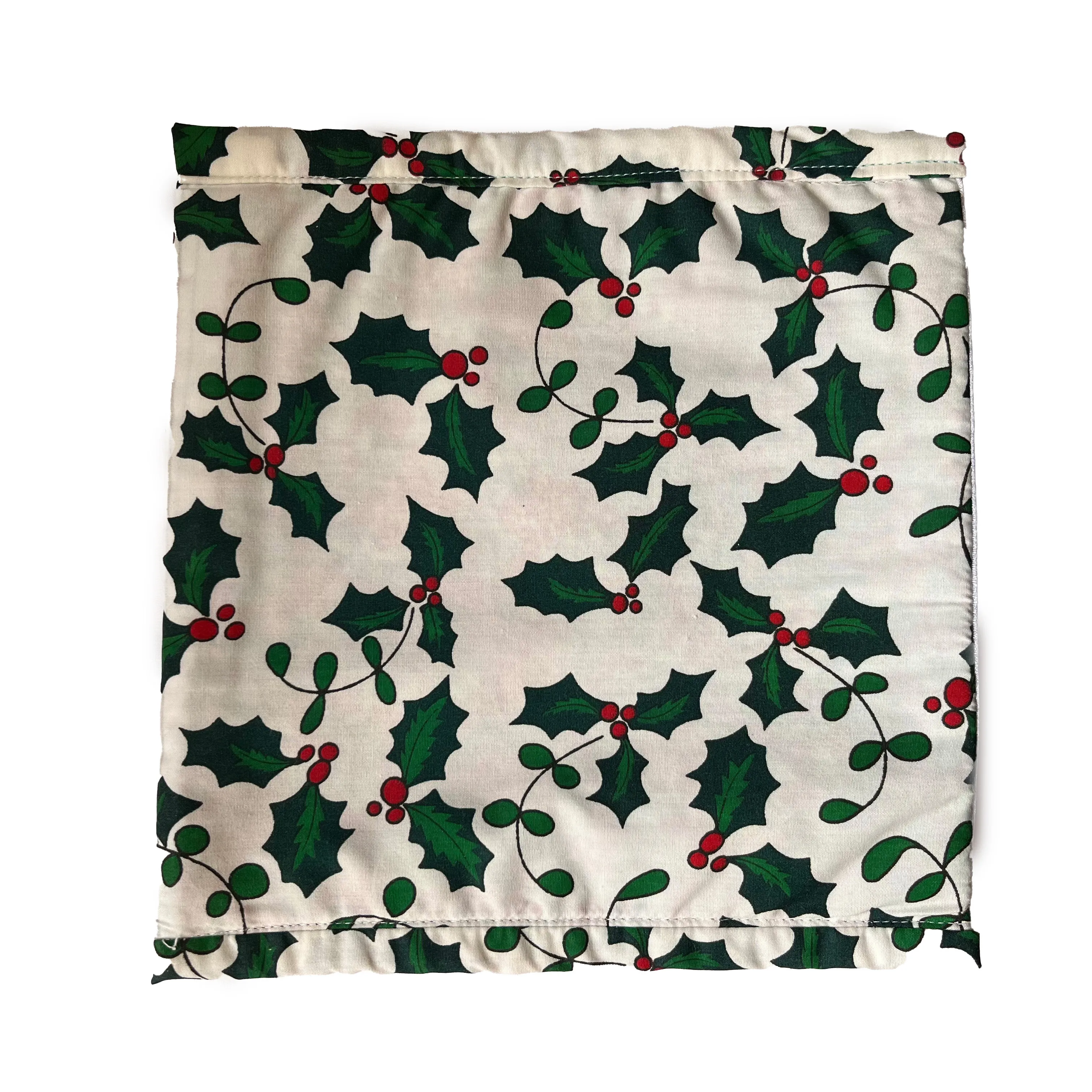 Story bag: The holly and the ivy
