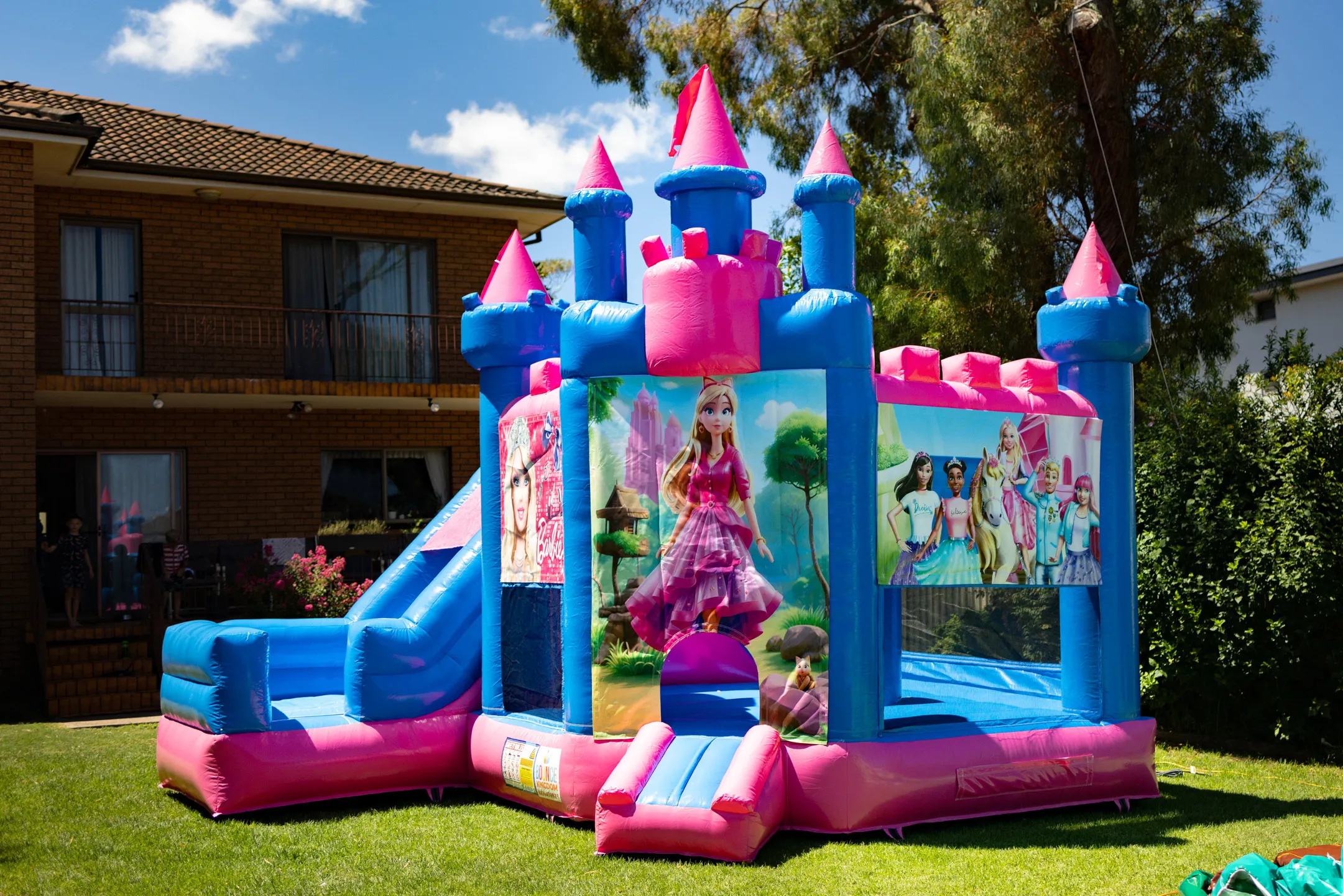 Pink & Blue Multi-Themed Jumping Castle