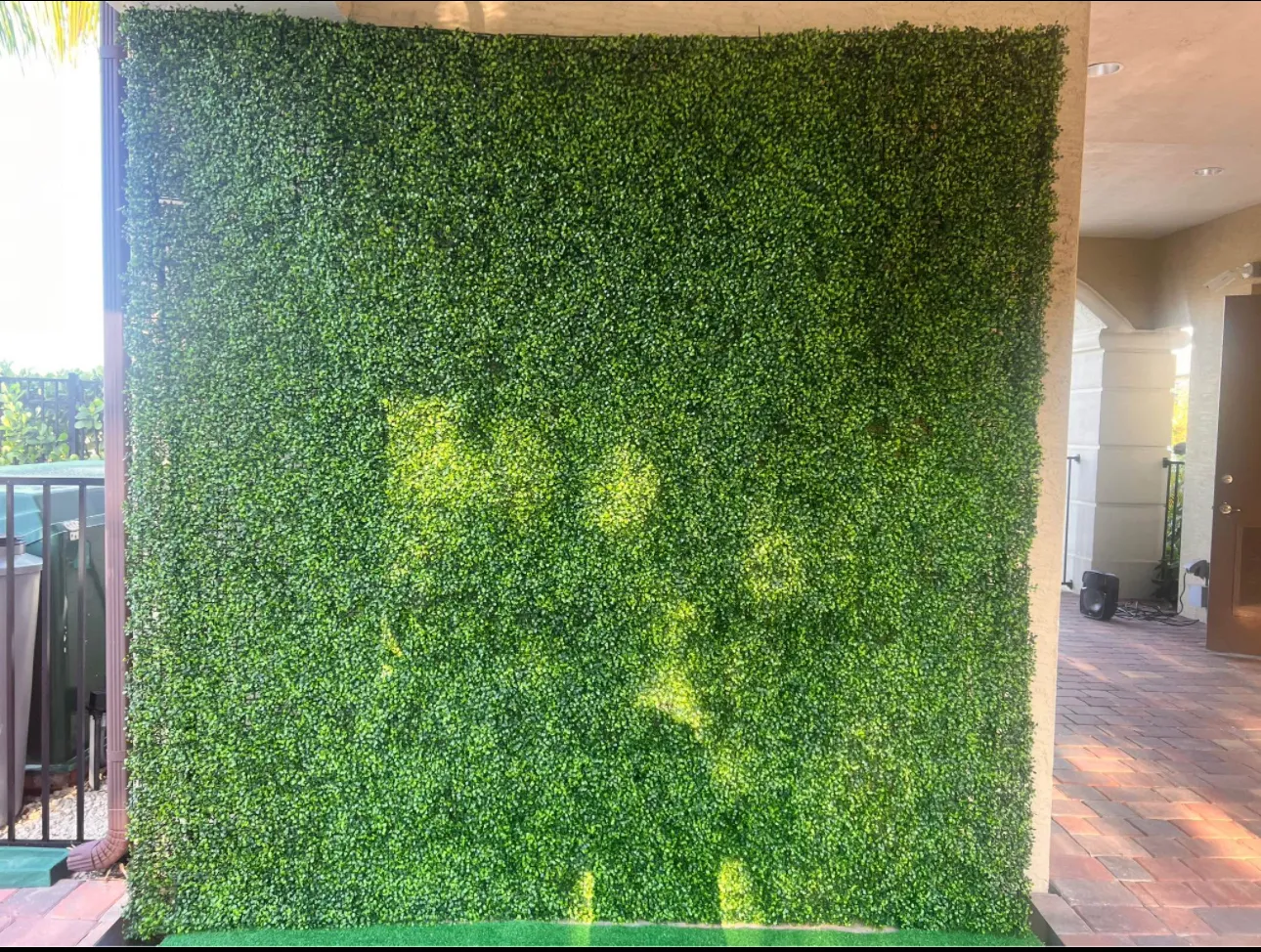 8x8 Artificial Boxwood Backdrop
