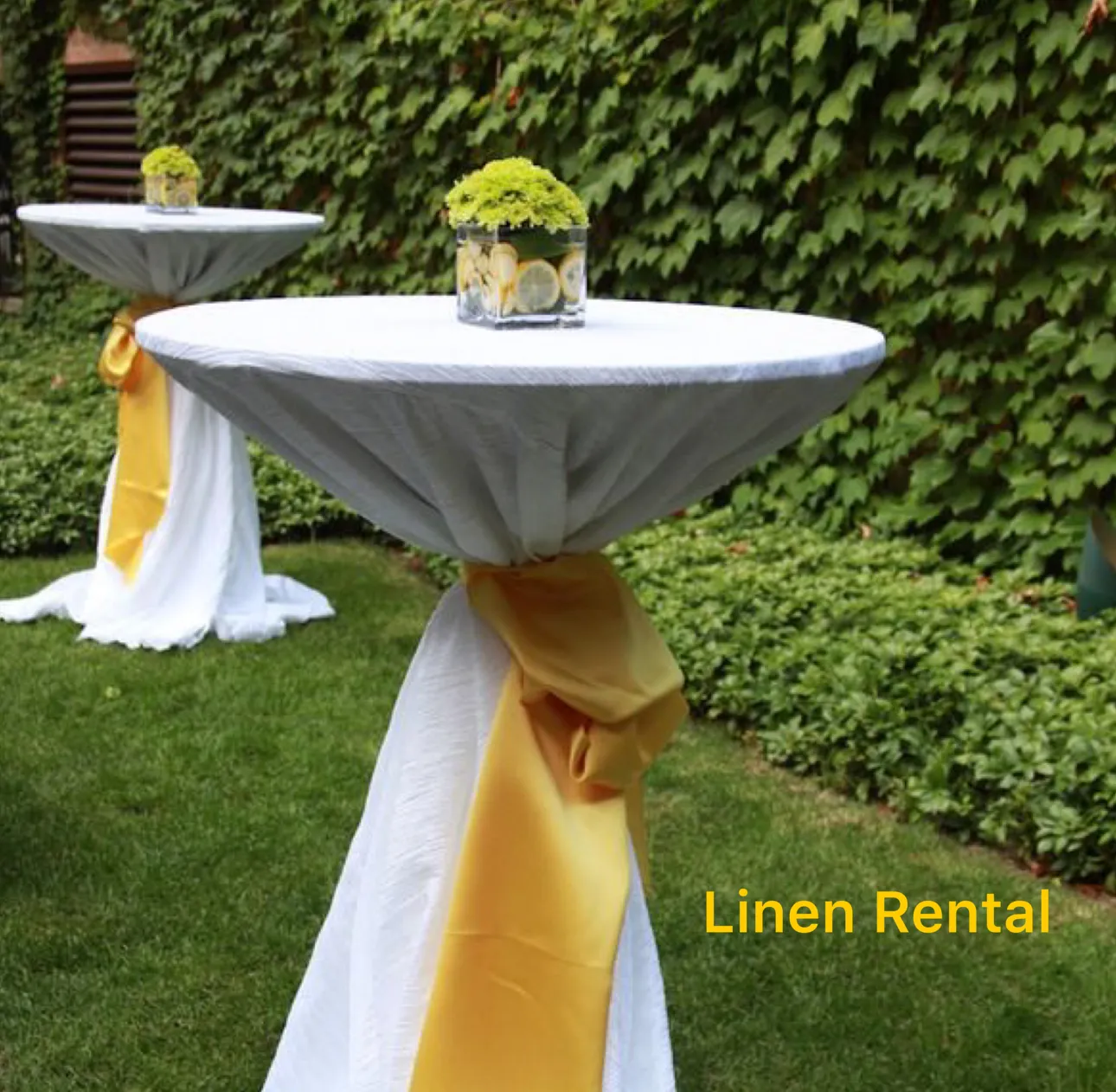 White Linen W/ Gold Wrap